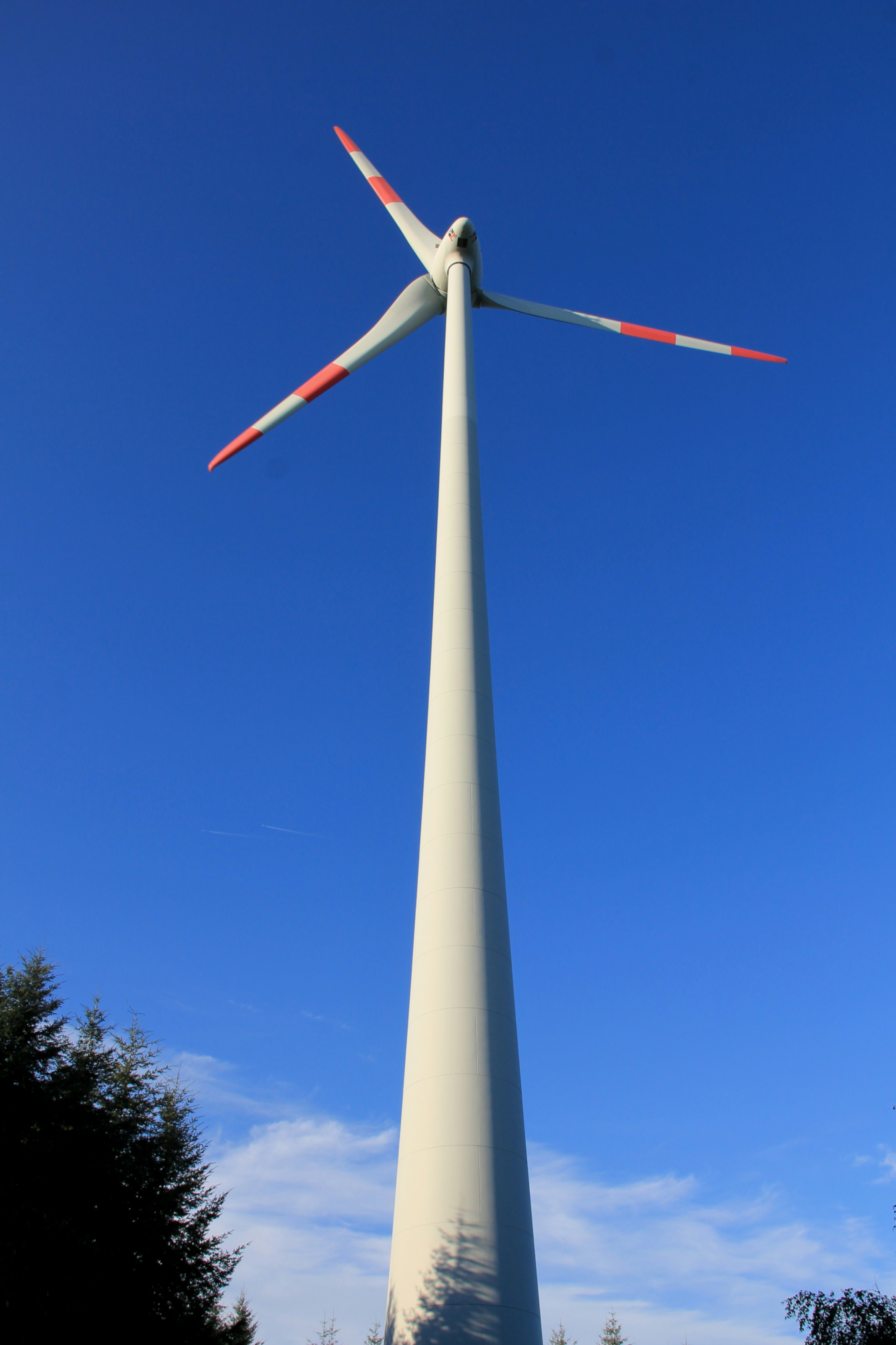 Photo by projectsudoro