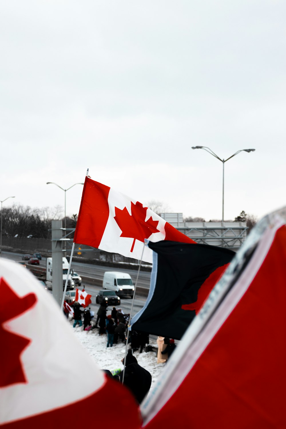 a group of canadian flags blowing in the wind