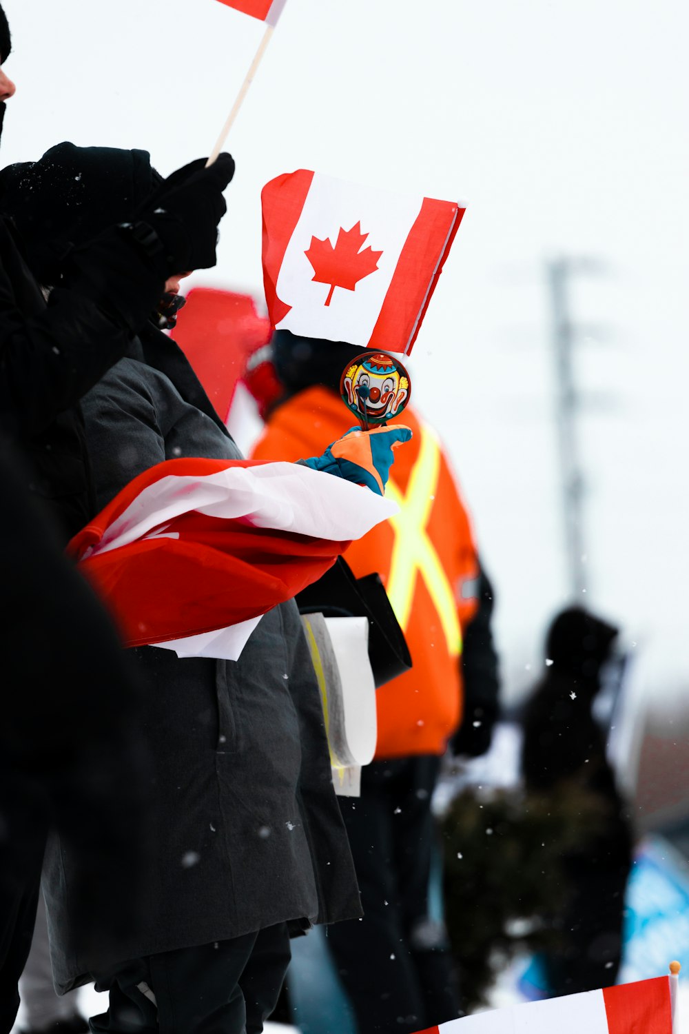 a group of people holding canadian flags in the snow