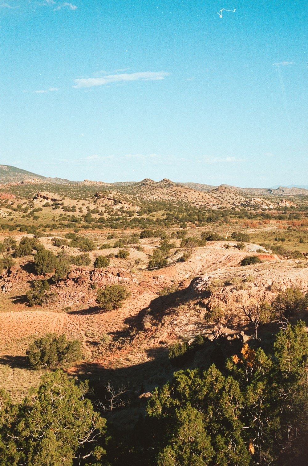 a man riding a horse on top of a dirt field