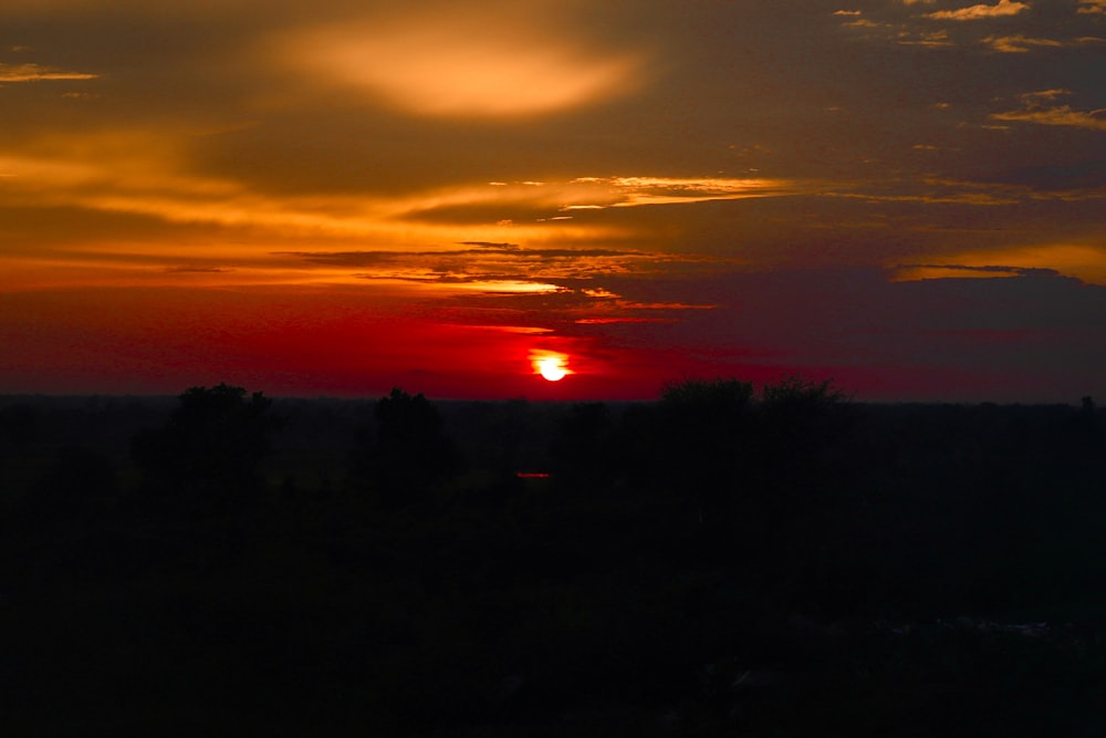 the sun is setting over the trees in the distance