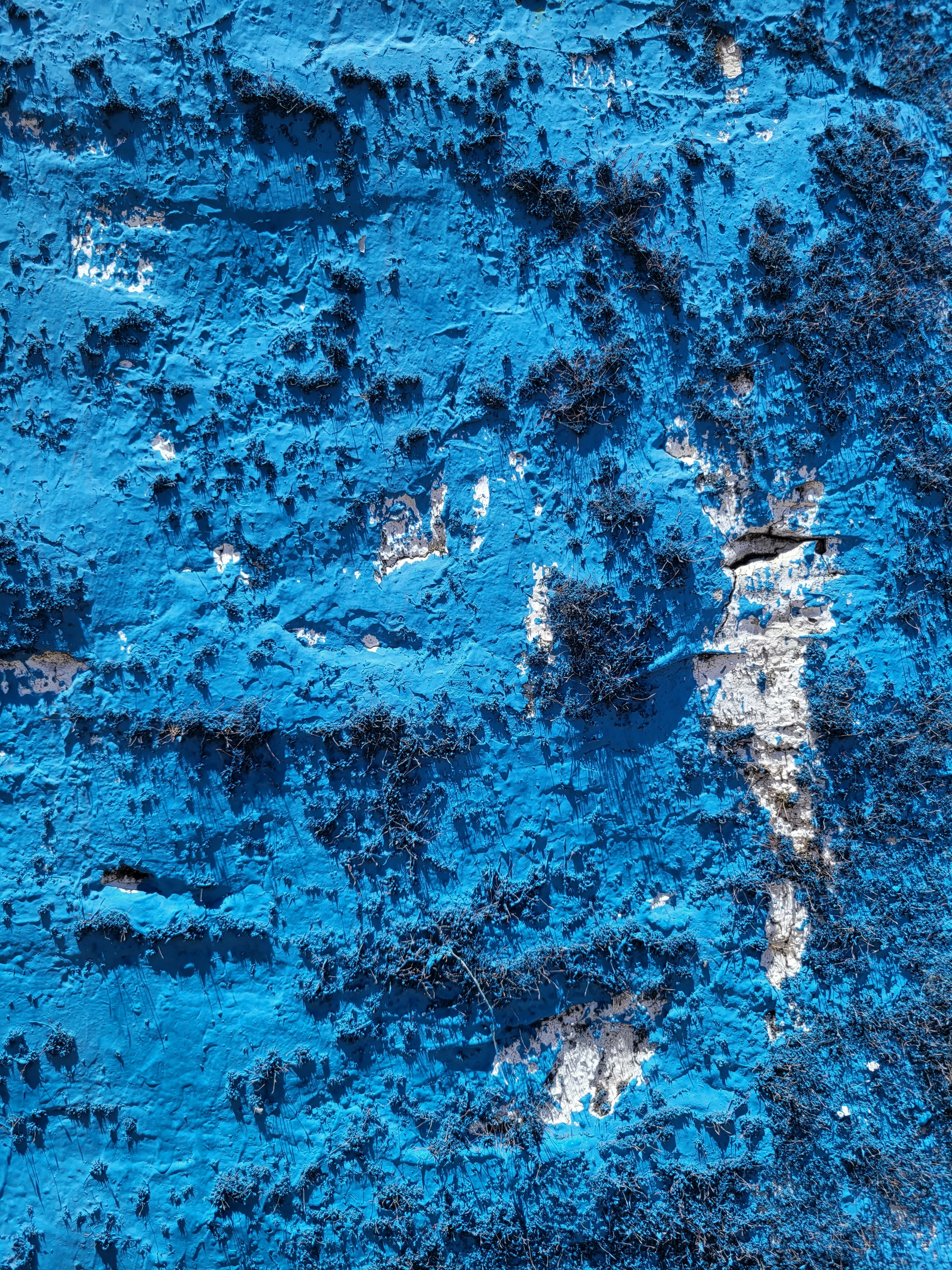 Foto Un primer plano de una