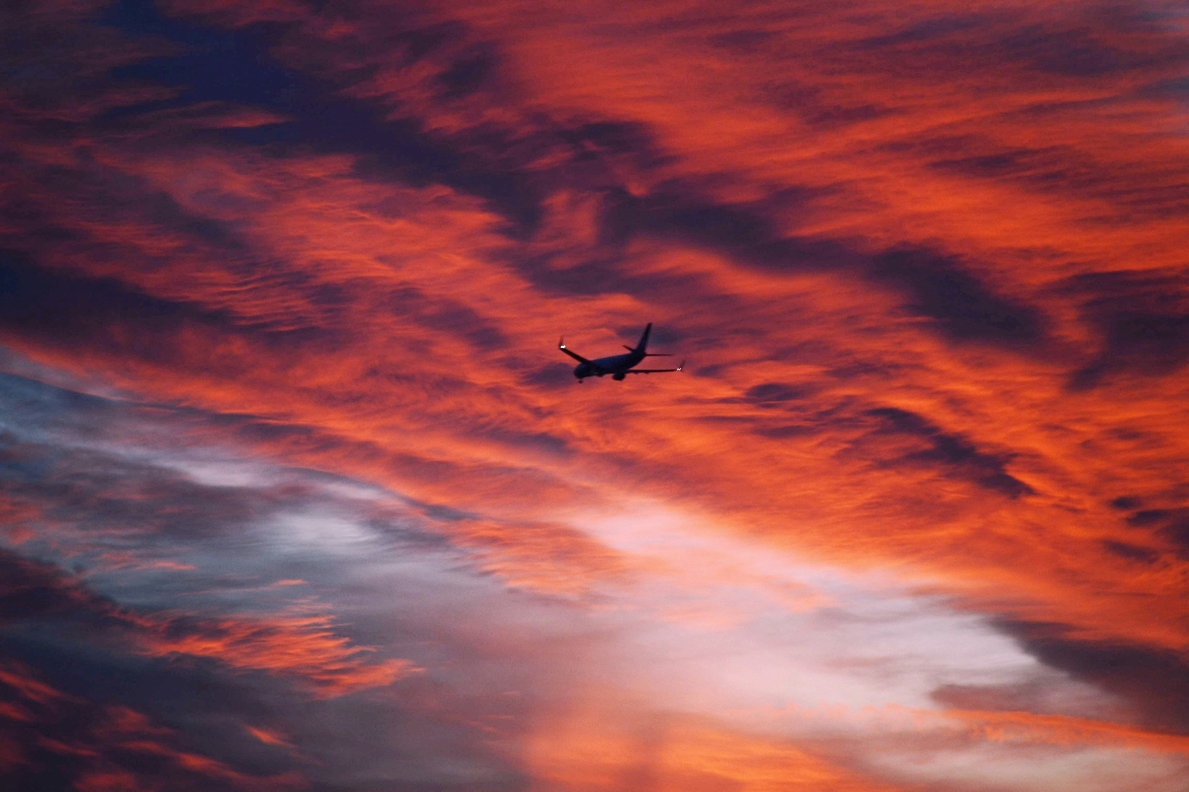 Photo by saswata_dash