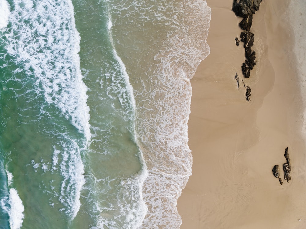 Eine Gruppe von Menschen, die auf einem Strand neben dem Meer stehen