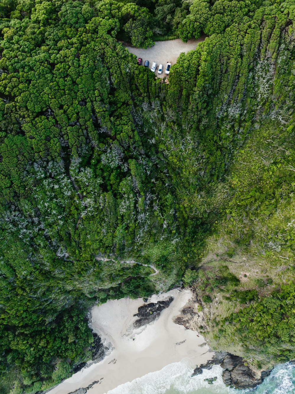 an aerial view of a beach surrounded by trees