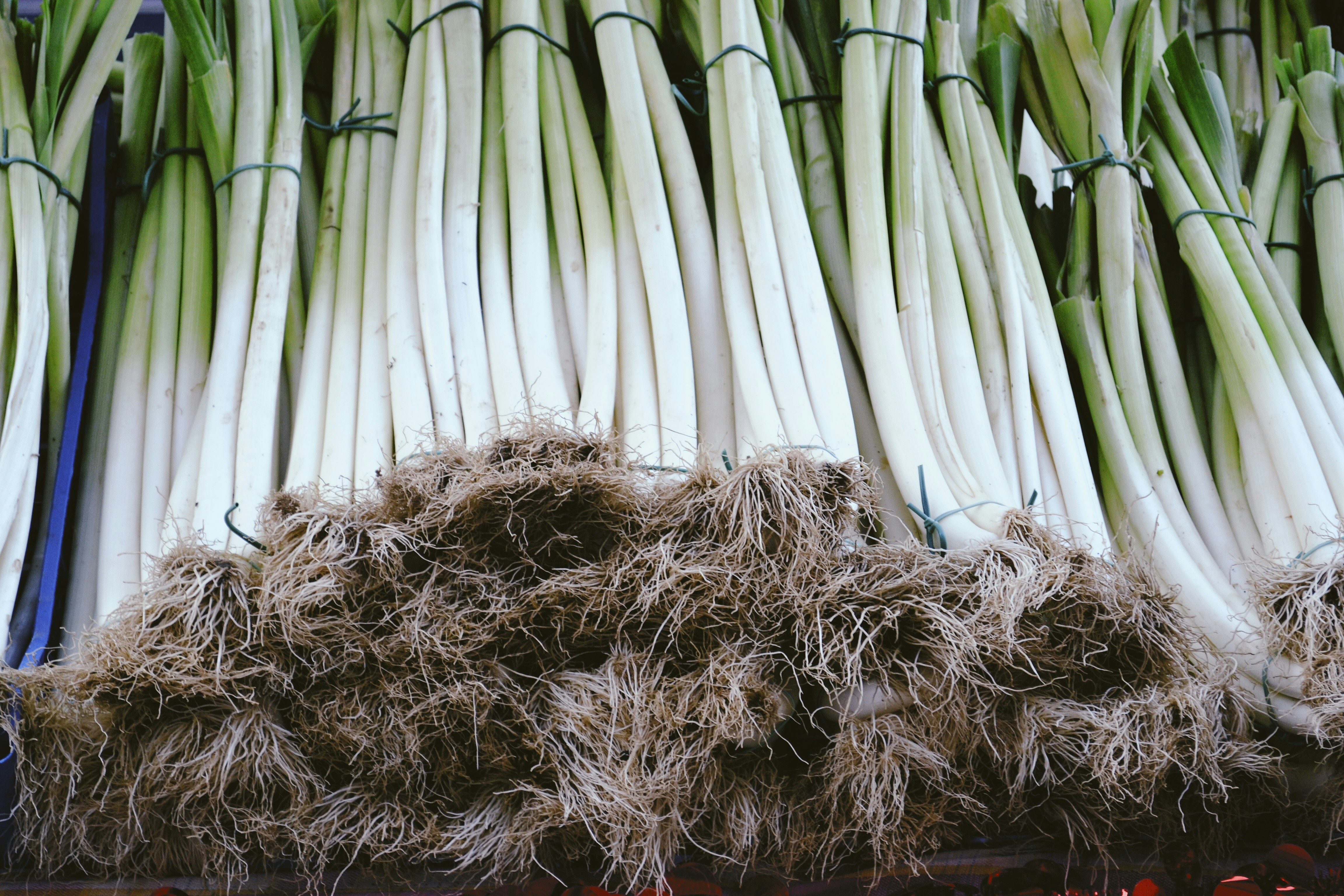 a pile of white and green vegetables next to each other