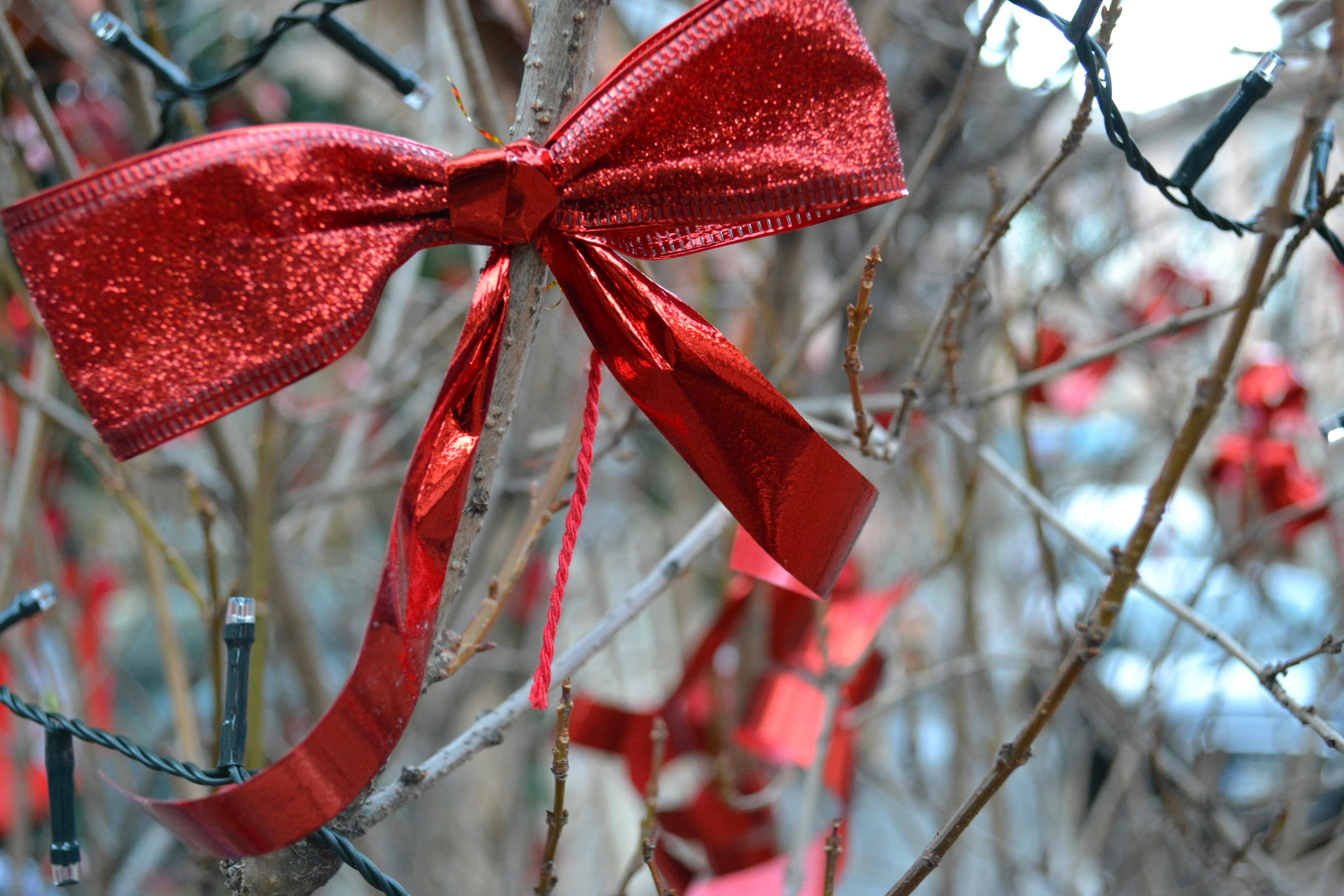 a red bow is hanging on a tree