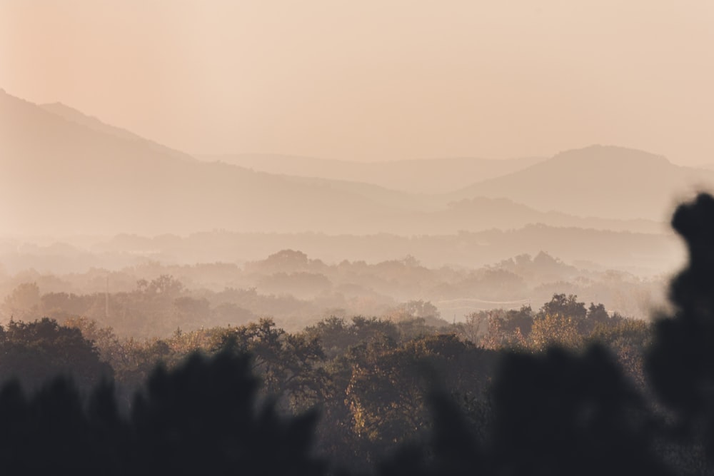 a view of a mountain range with trees in the foreground