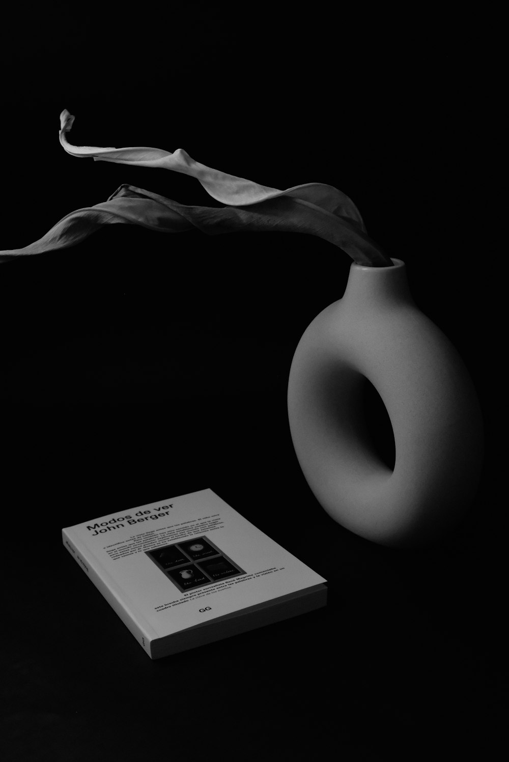 a black and white photo of a book and a vase