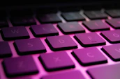 Close-up of a sleek keyboard illuminated by soft neon pink and blue lighting.