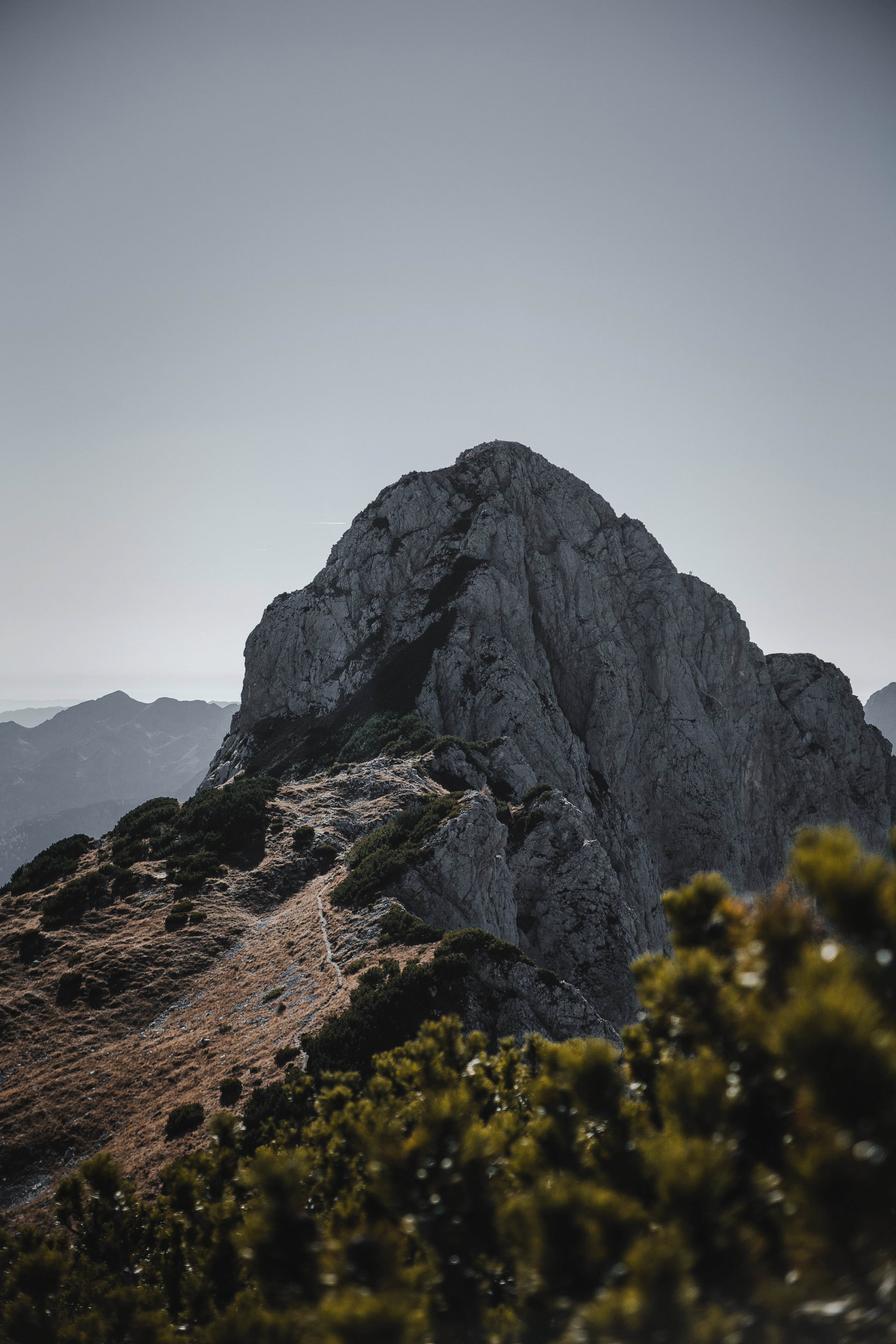 A grey limestone peak above dwarf pine and a grassy ridge in the Julian Alps