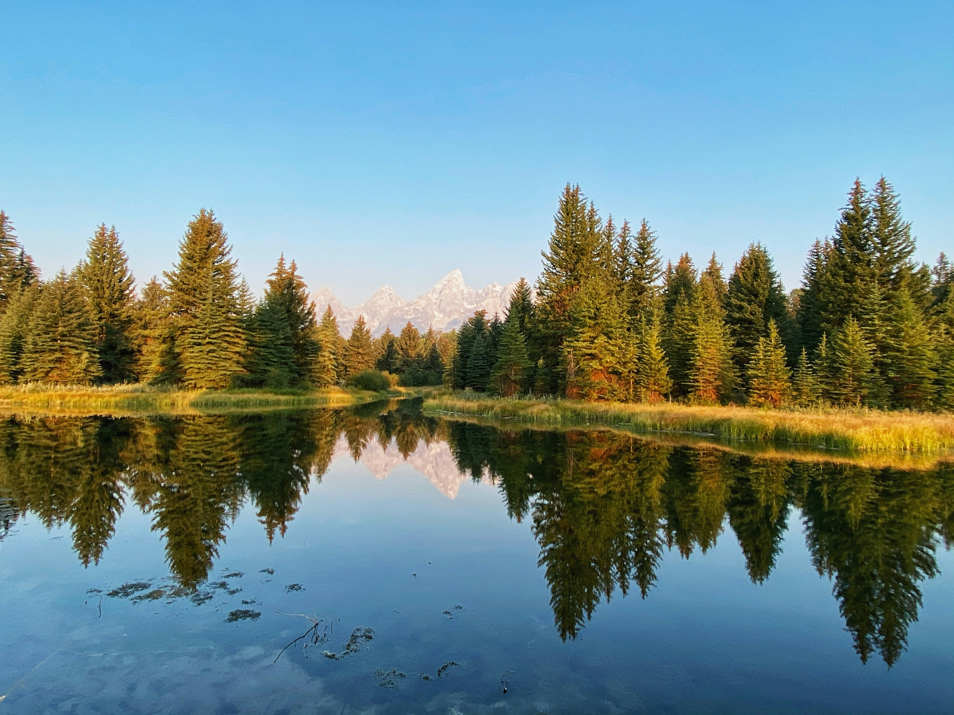 Photo by saswata_dash