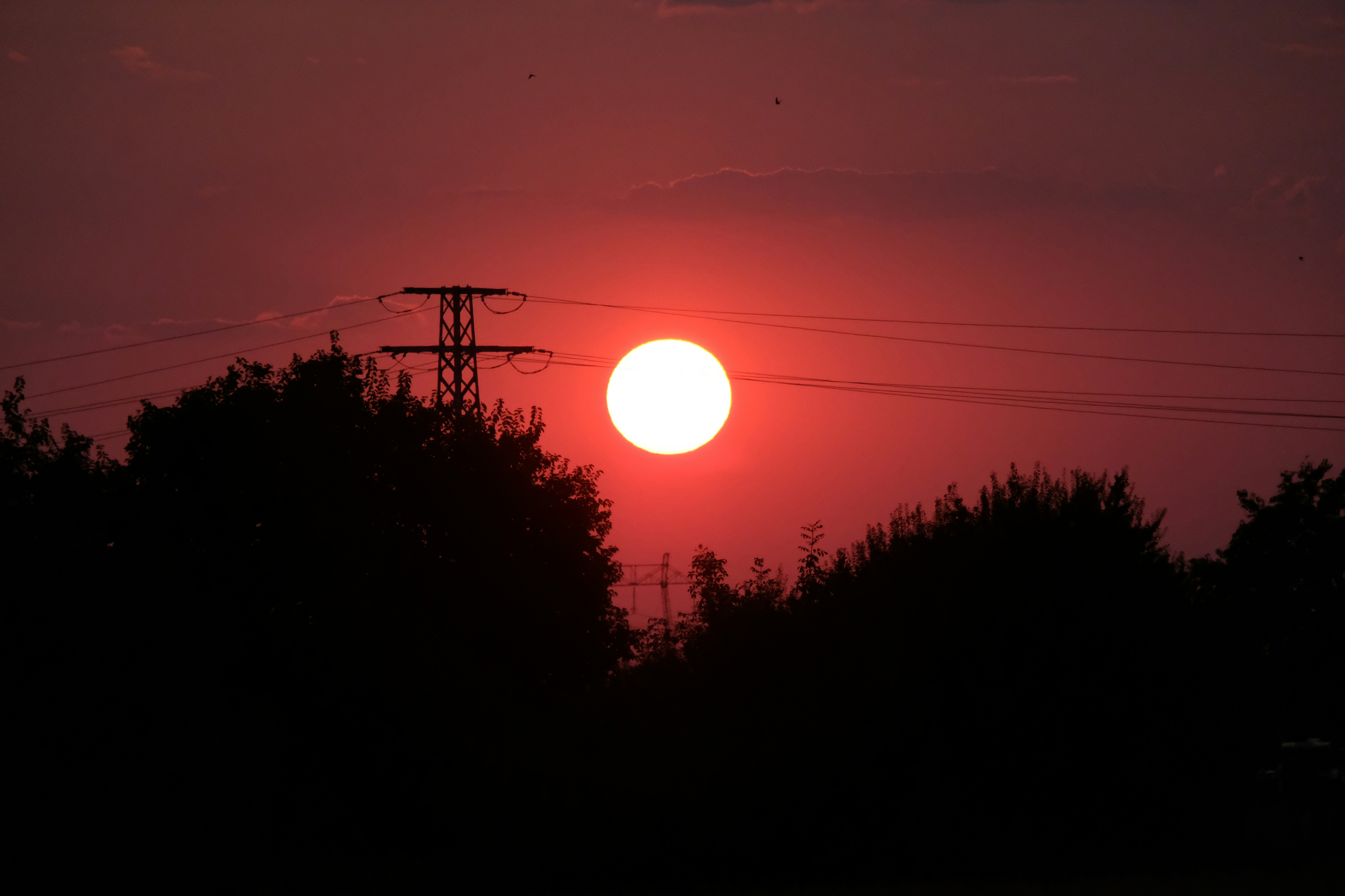 the sun is setting behind power lines and trees