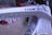 Close-up of a bicycle frame with a shiny silver finish, featuring brand logos such as TREK and Segafredo. The frame appears to be covered in soap suds, suggesting it is being cleaned. A hint of a red and black object is visible in the background.