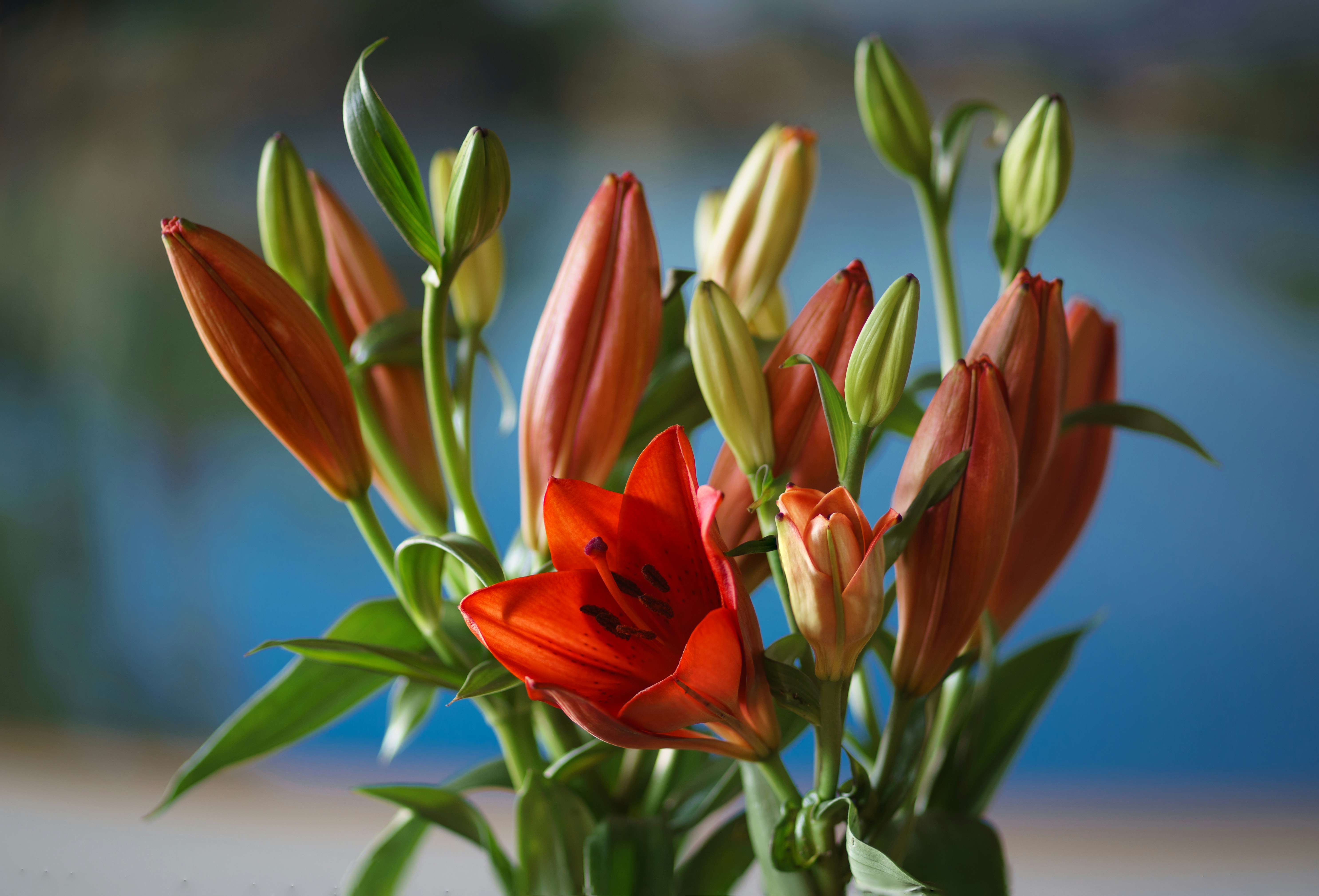 Photo by earl_plannerzone