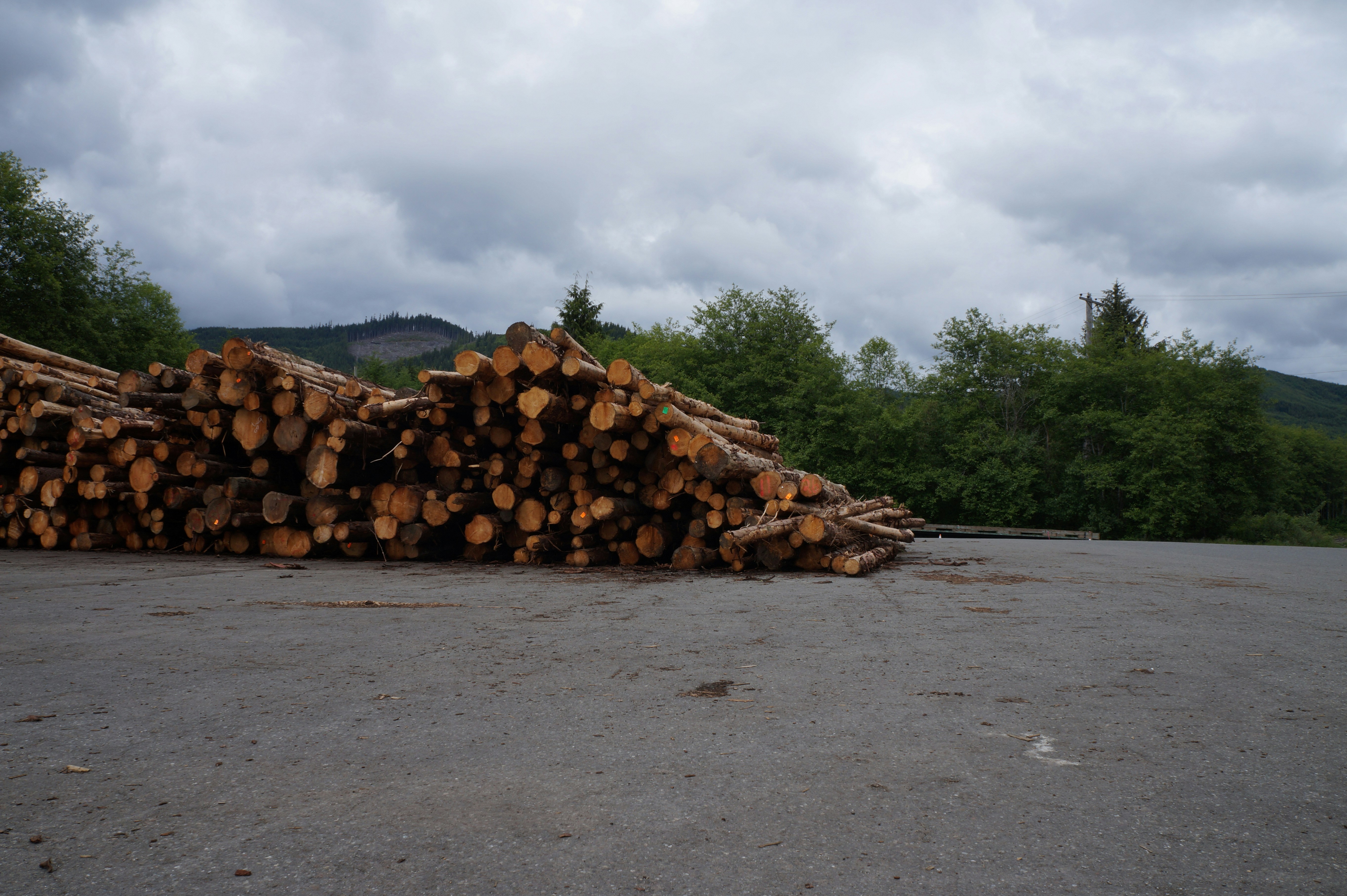 a pile of logs sitting on top of a parking lot