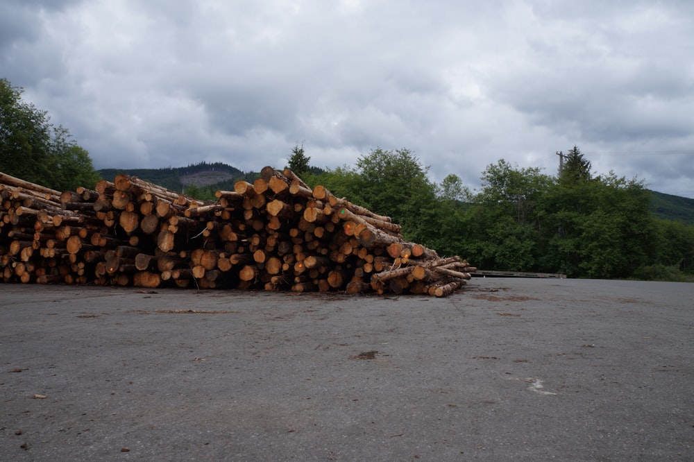 a pile of logs sitting on top of a parking lot
