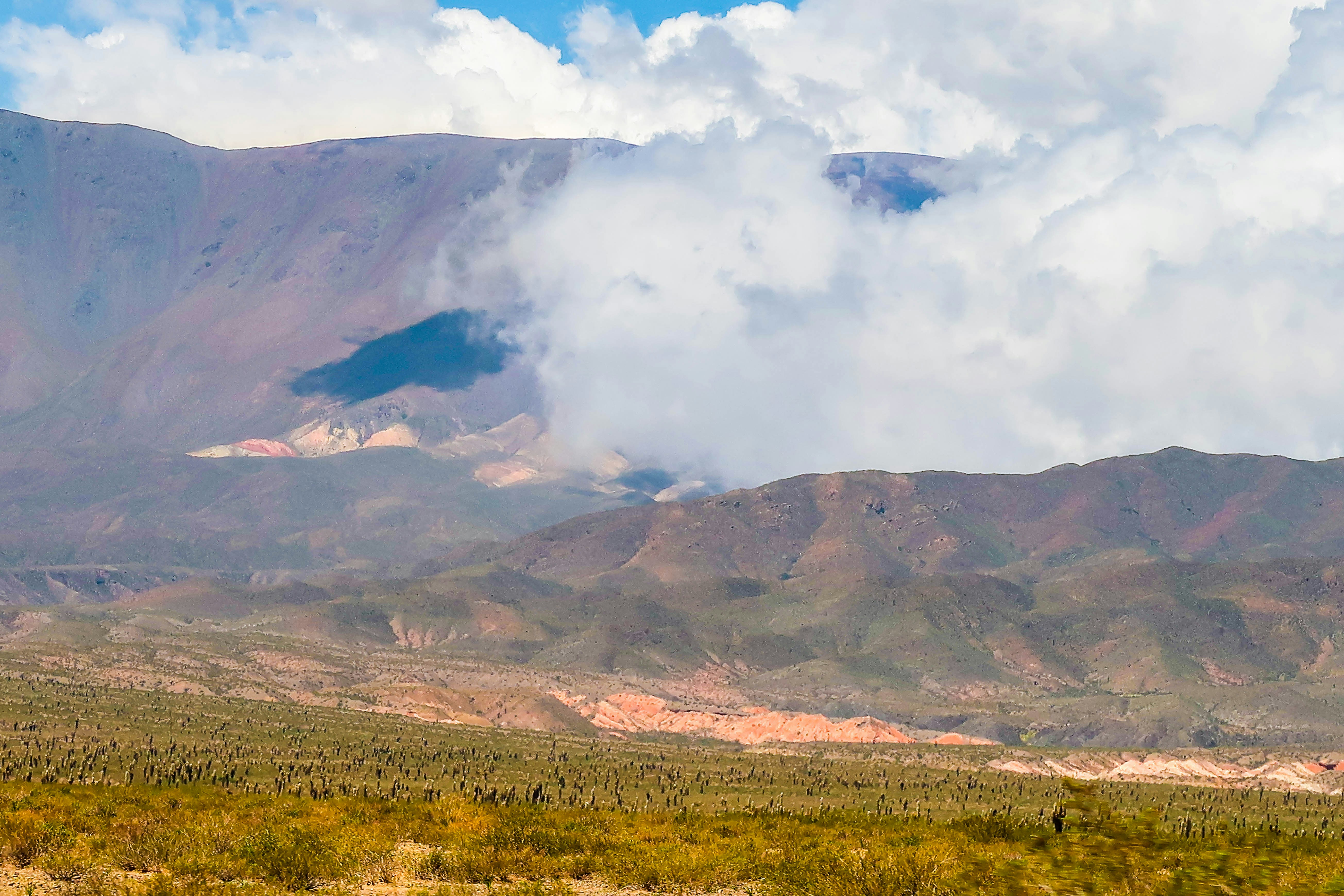 Photo by argentinanatural