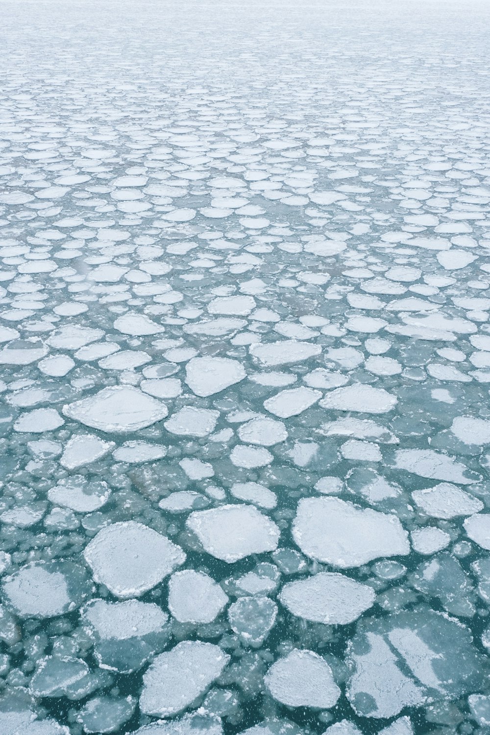 a large amount of ice floating on top of a body of water