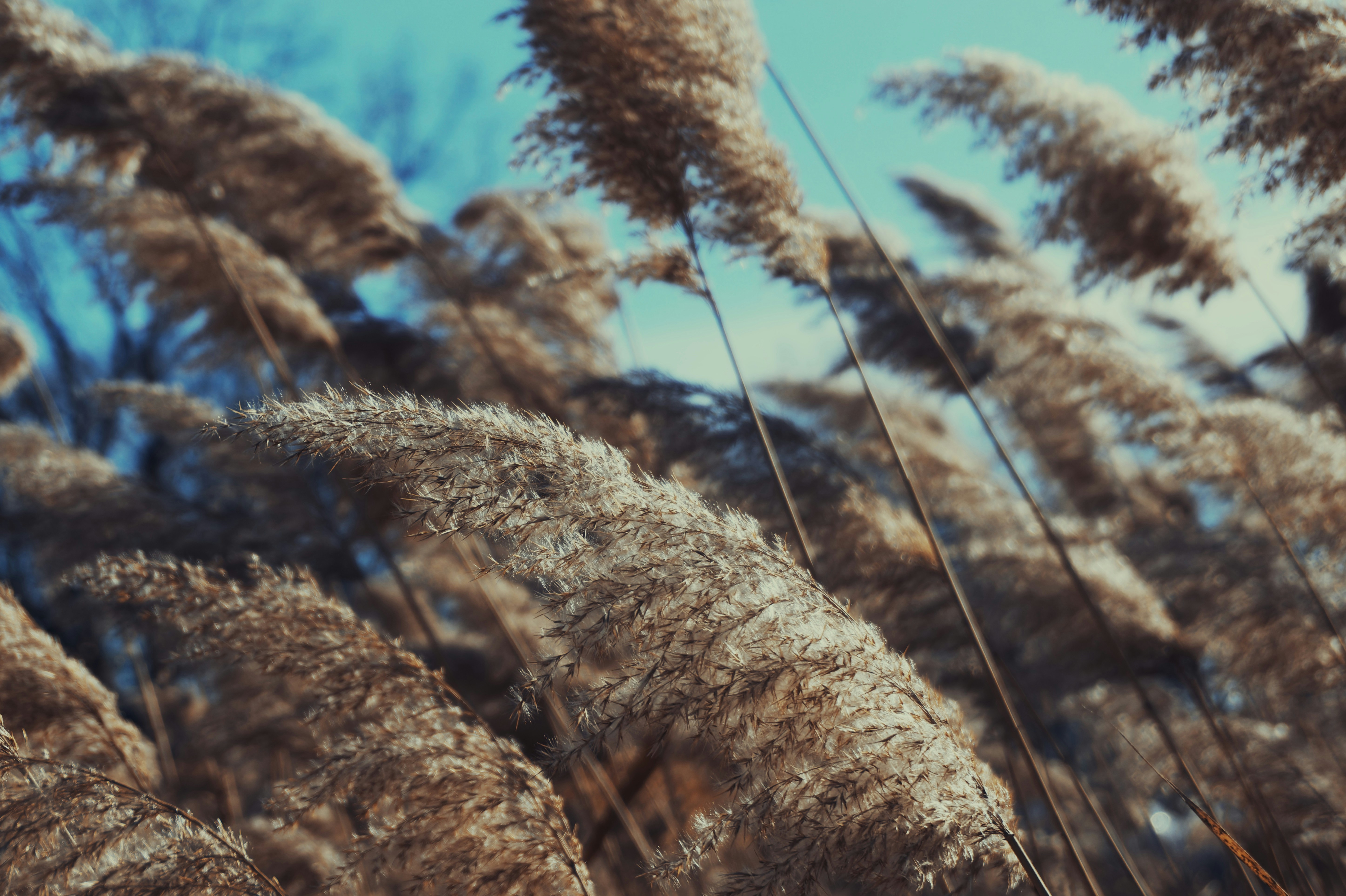 Photo by clayleconey