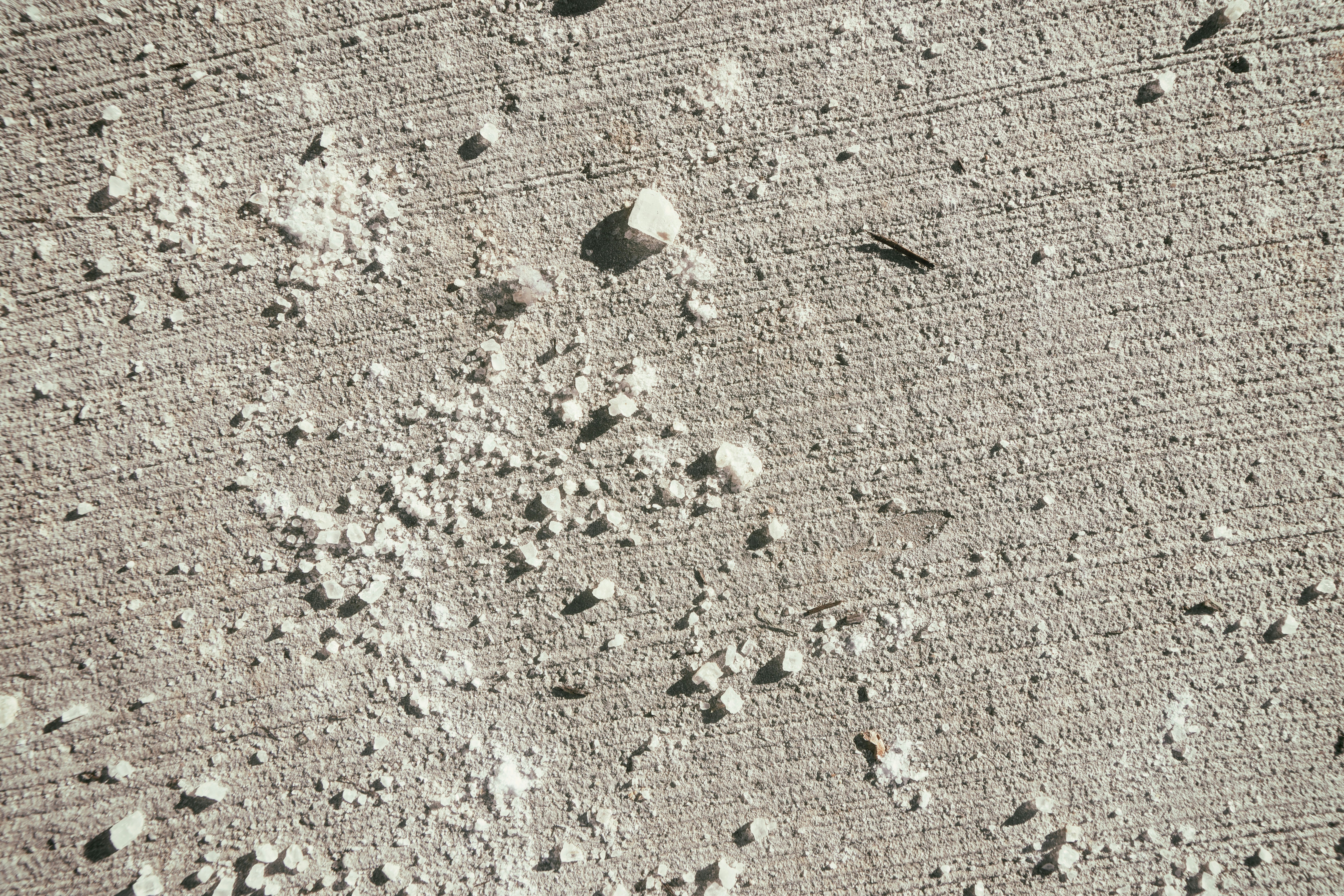 Photo by clayleconey