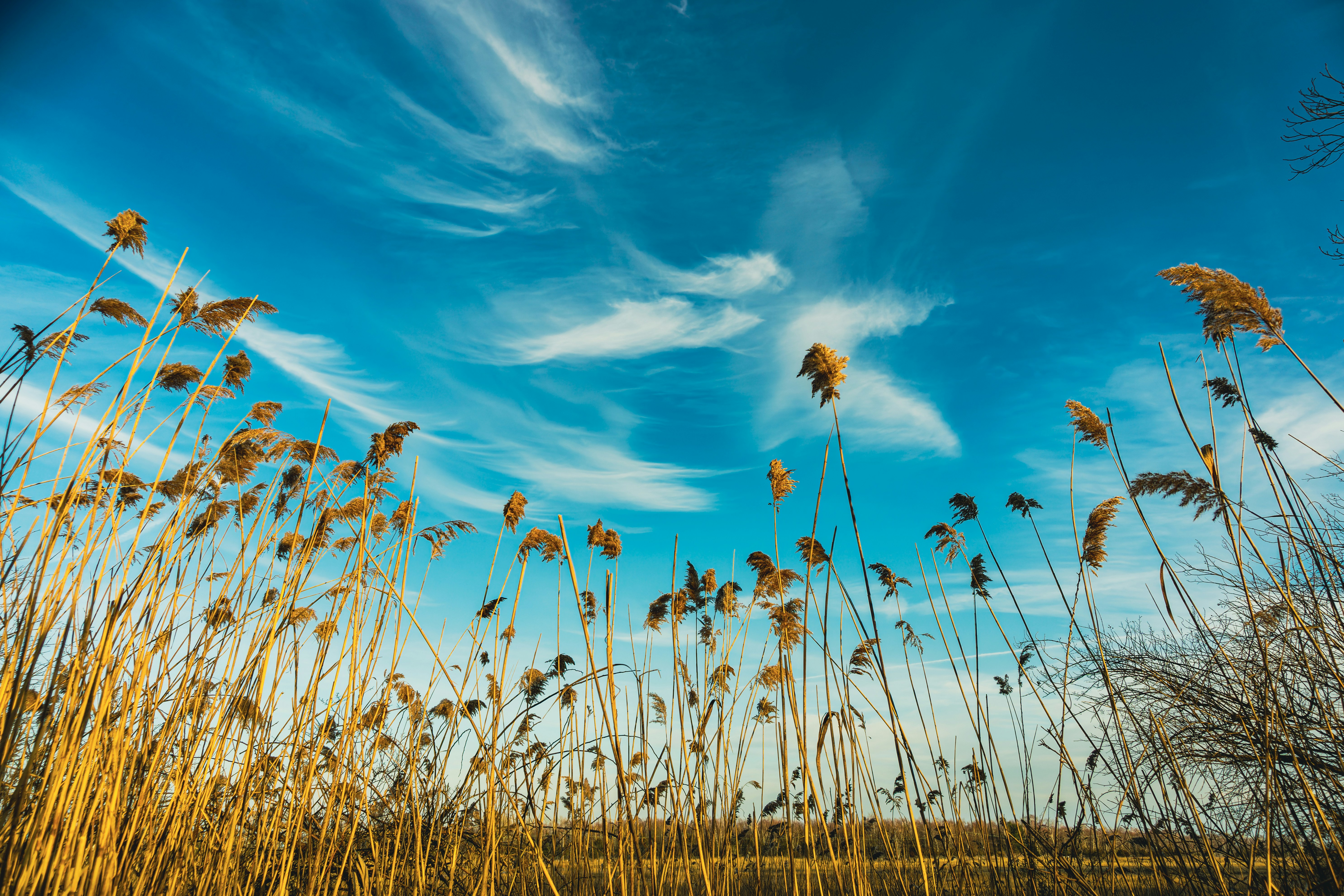 Photo by clayleconey