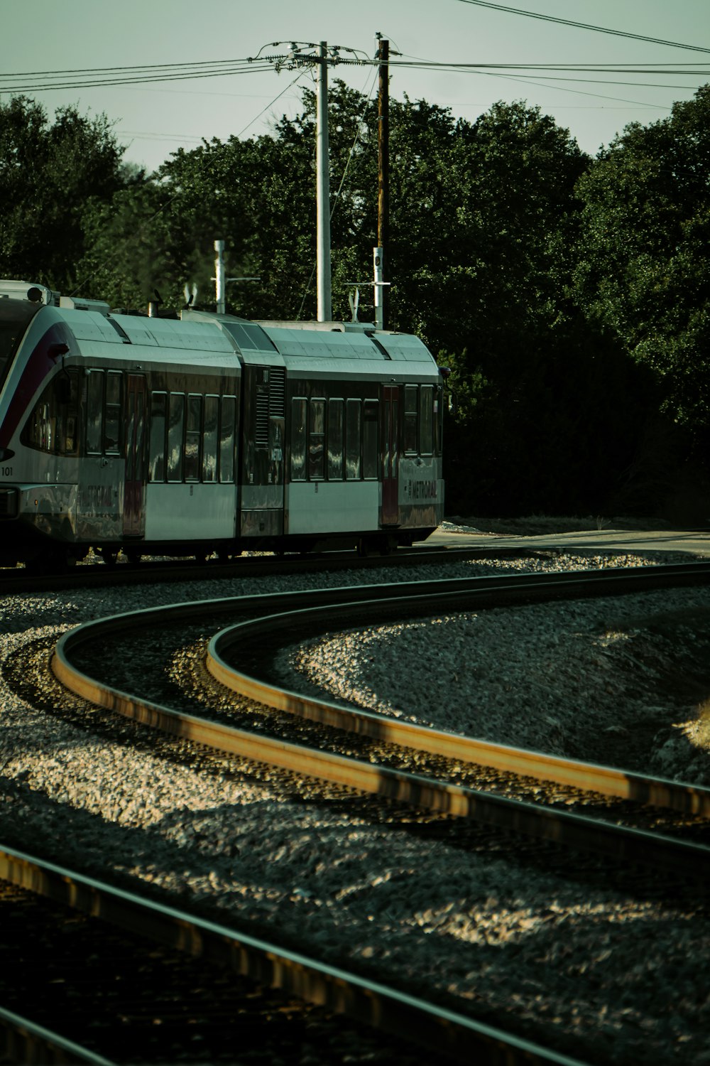 a train traveling down train tracks next to a forest