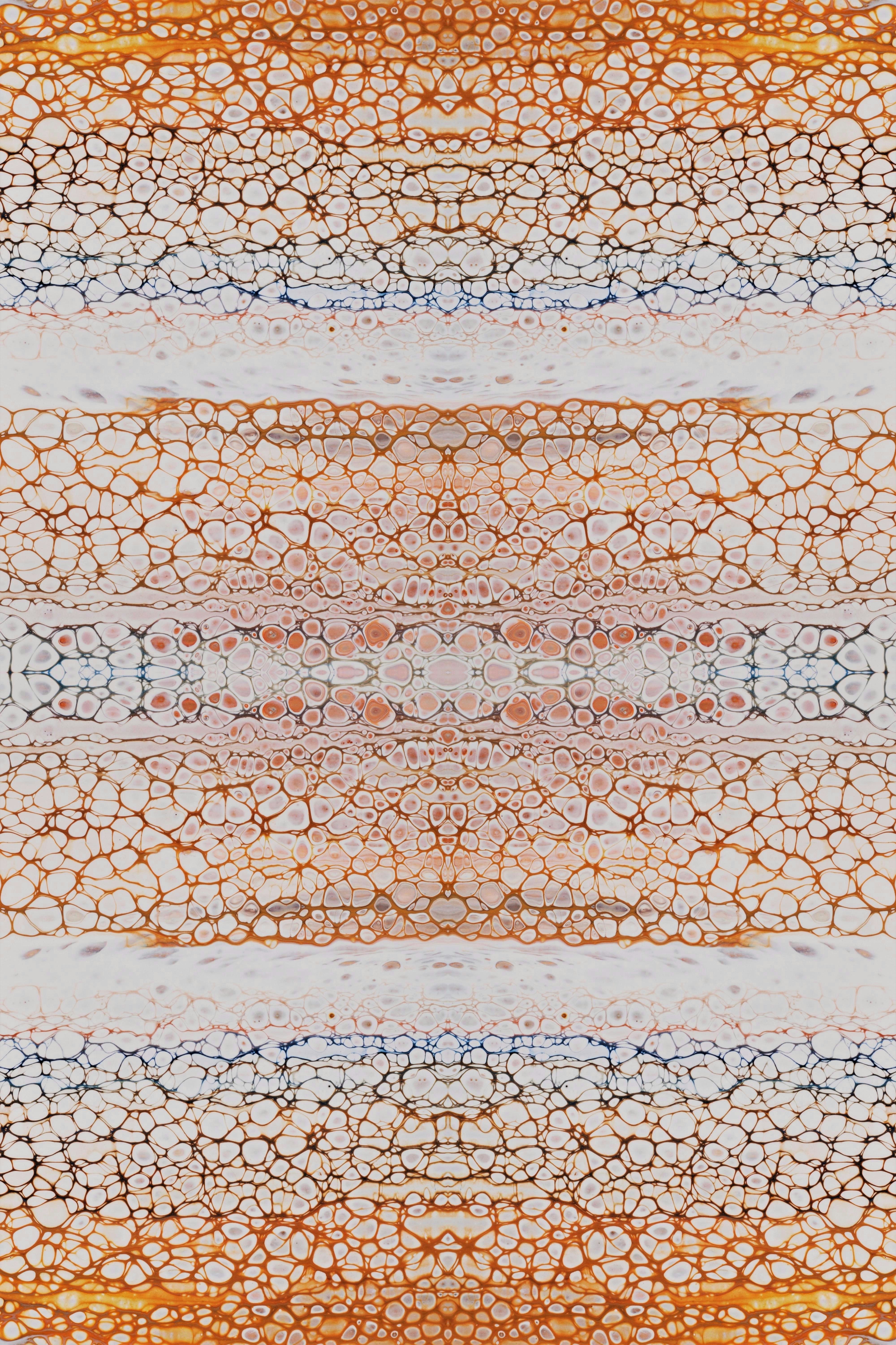 Photo by susan_wilkinson