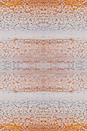 An intricate pattern composed of organic, cellular shapes in horizontal layers. The image showcases a mix of small and large circular and elliptical shapes, resembling a microscopic view of plant or animal tissue.