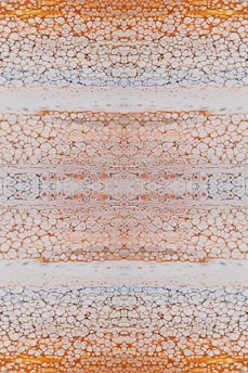 An intricate pattern composed of organic, cellular shapes in horizontal layers. The image showcases a mix of small and large circular and elliptical shapes, resembling a microscopic view of plant or animal tissue.
