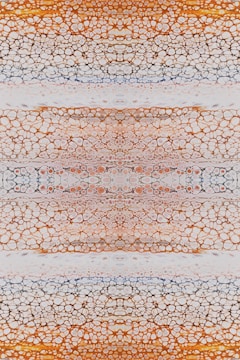 An intricate pattern composed of organic, cellular shapes in horizontal layers. The image showcases a mix of small and large circular and elliptical shapes, resembling a microscopic view of plant or animal tissue.