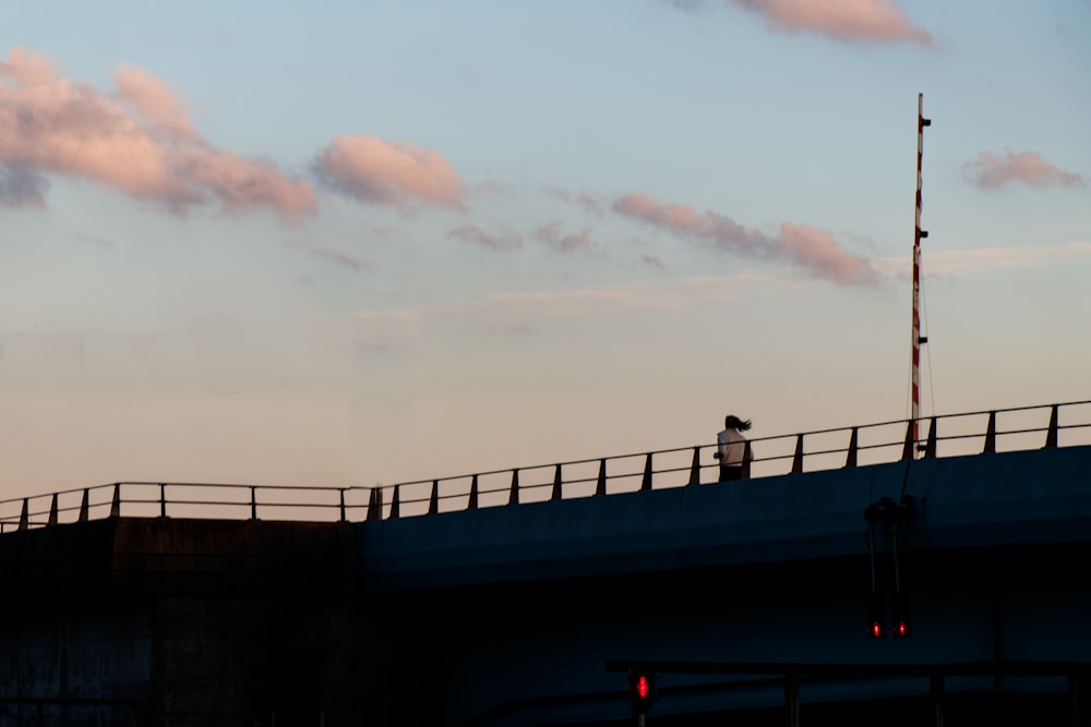 a person standing on top of a bridge next to a traffic light