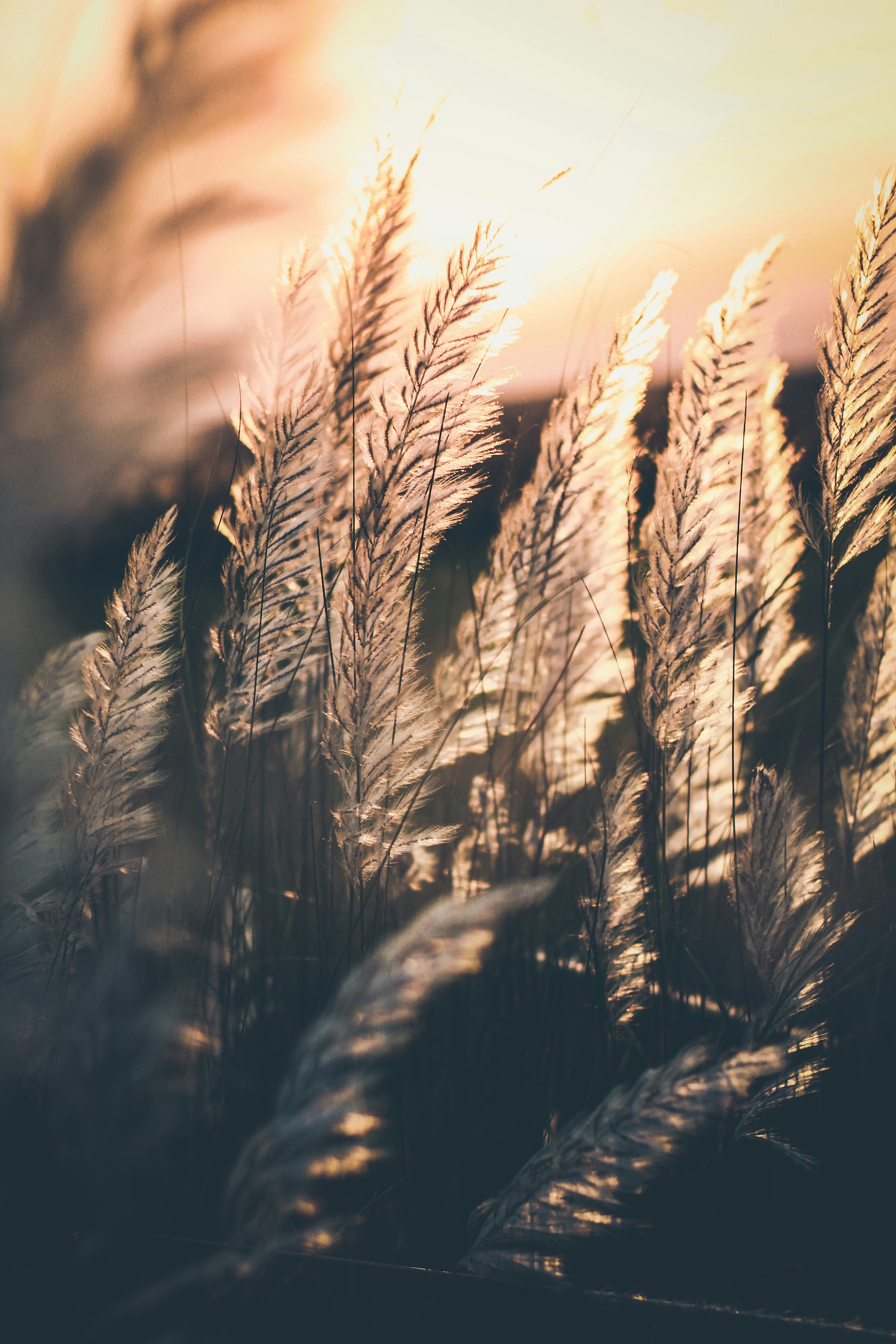 Photo by tusharranjan_