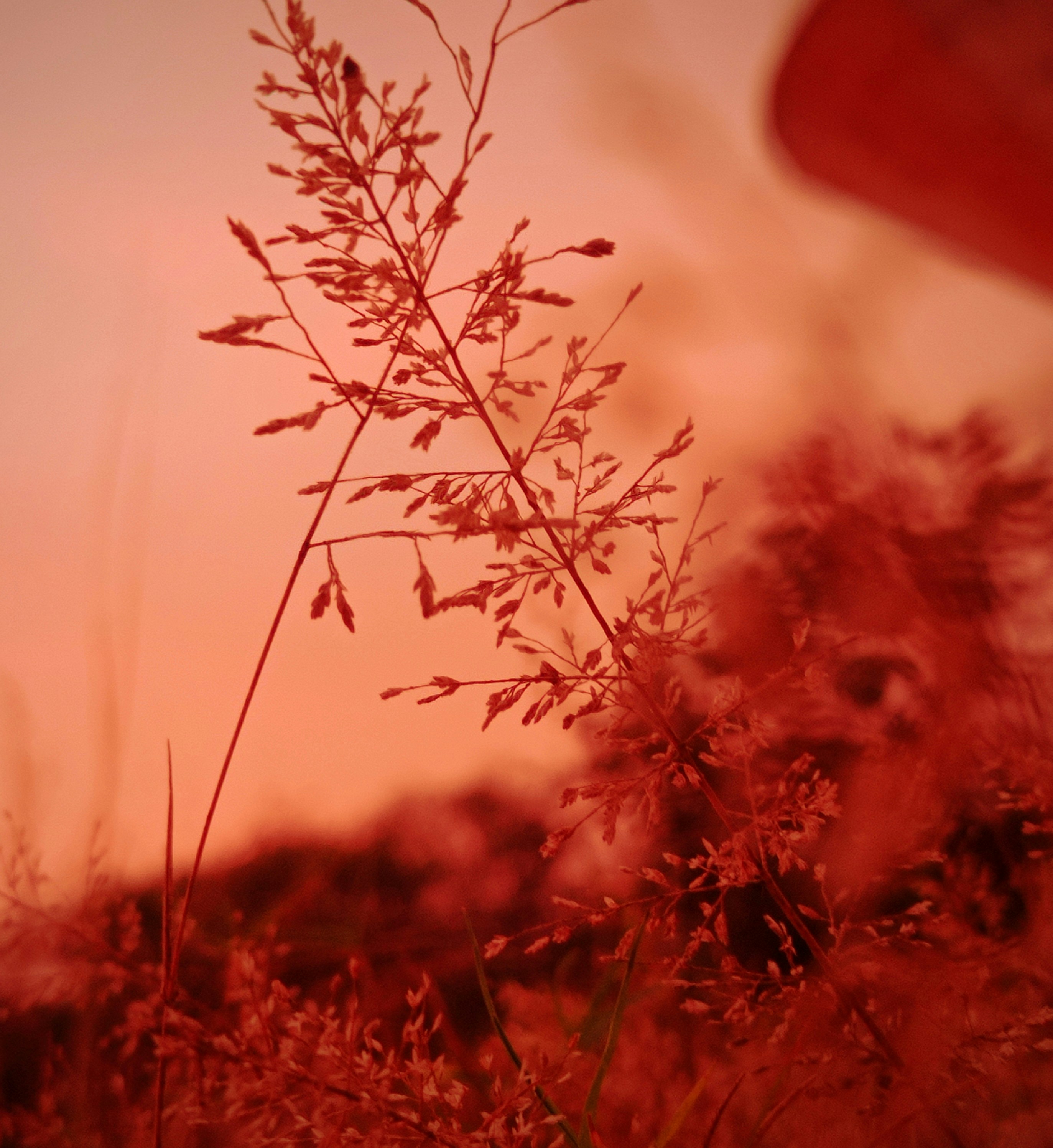 Photo by floatingfish8