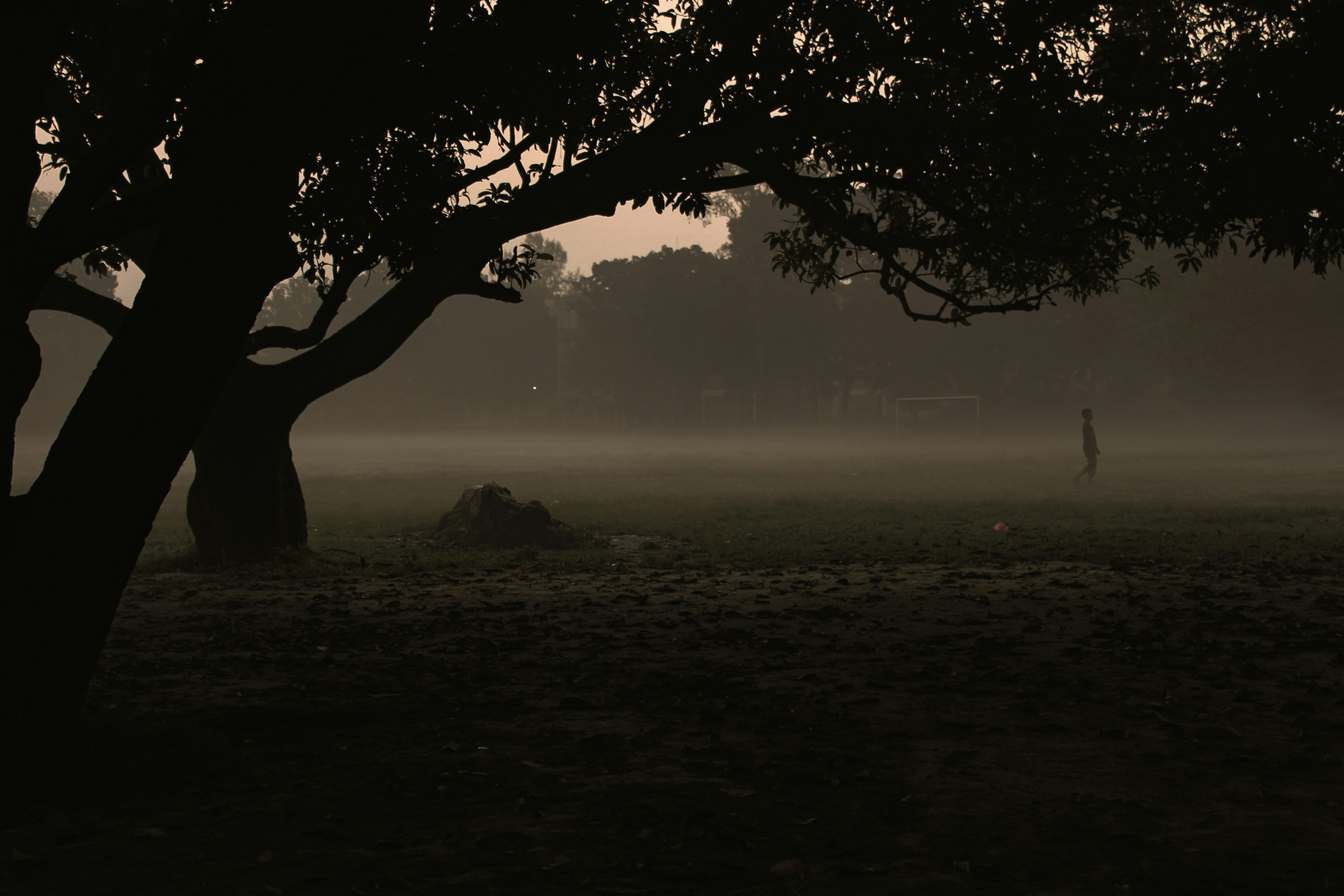 Photo by sifat_niloy