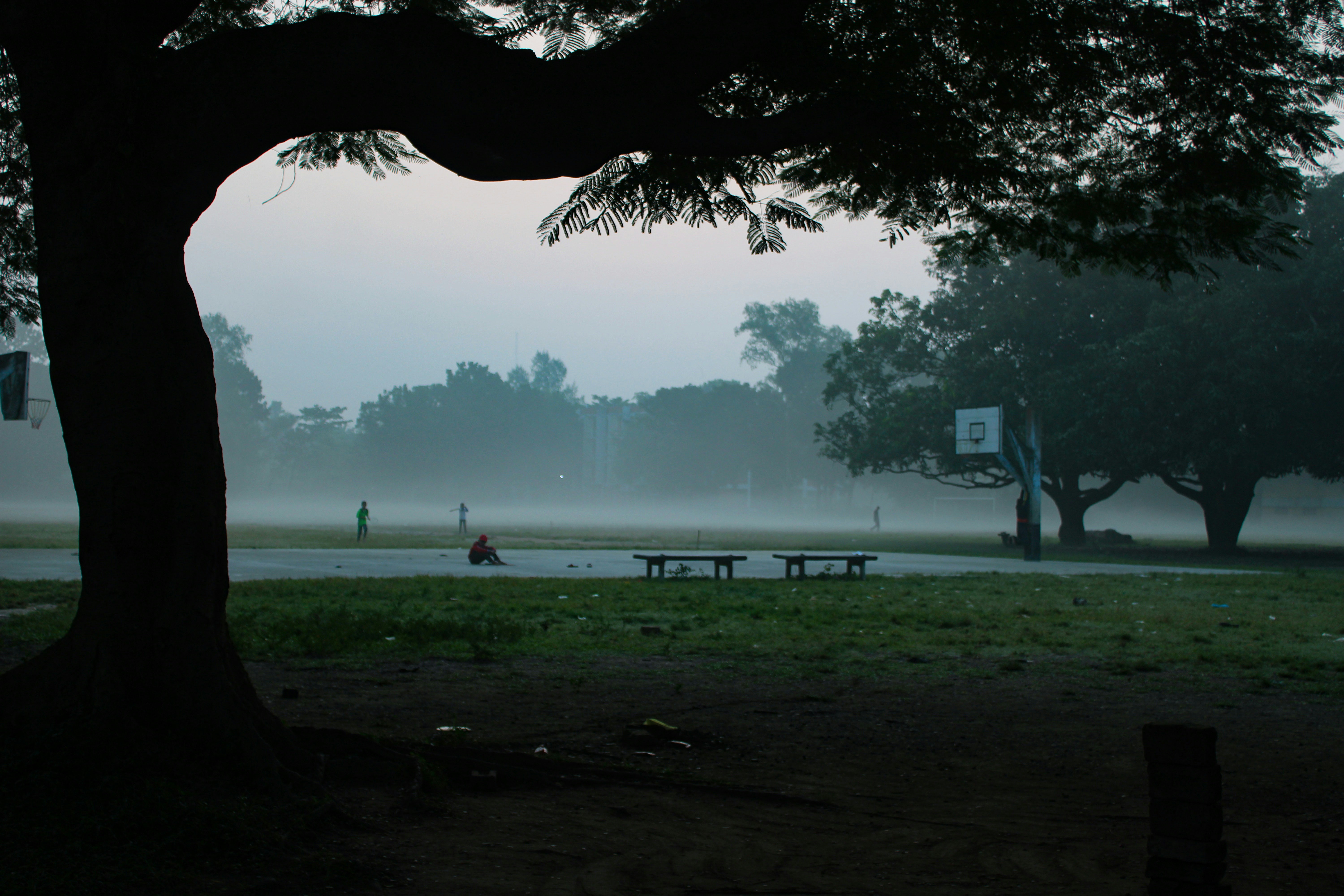 Photo by sifat_niloy