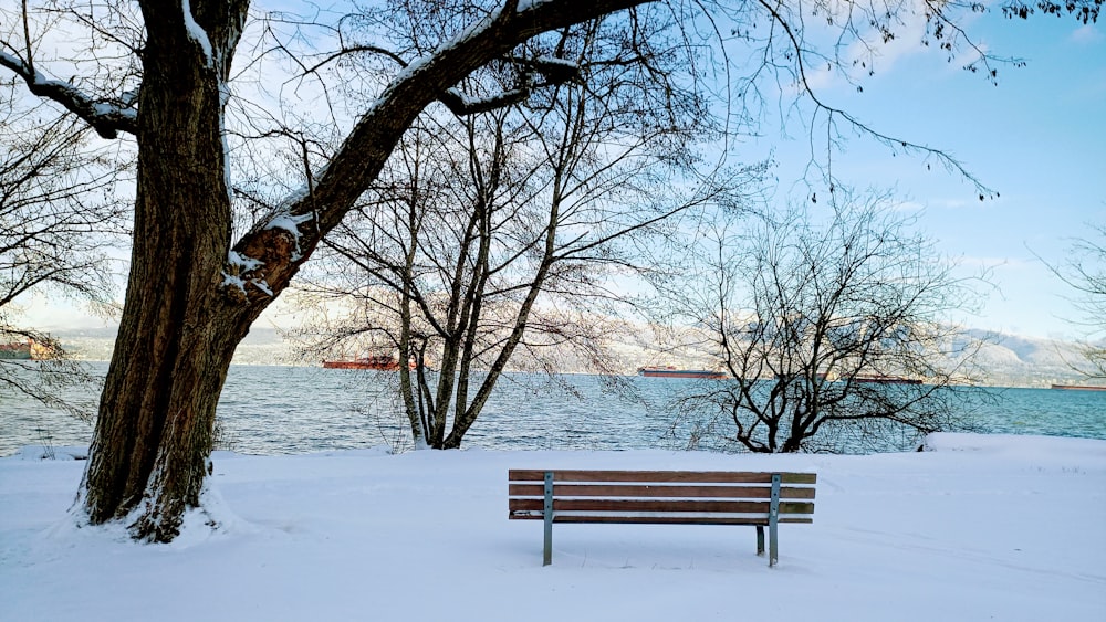 a wooden bench sitting next to a tree in the snow