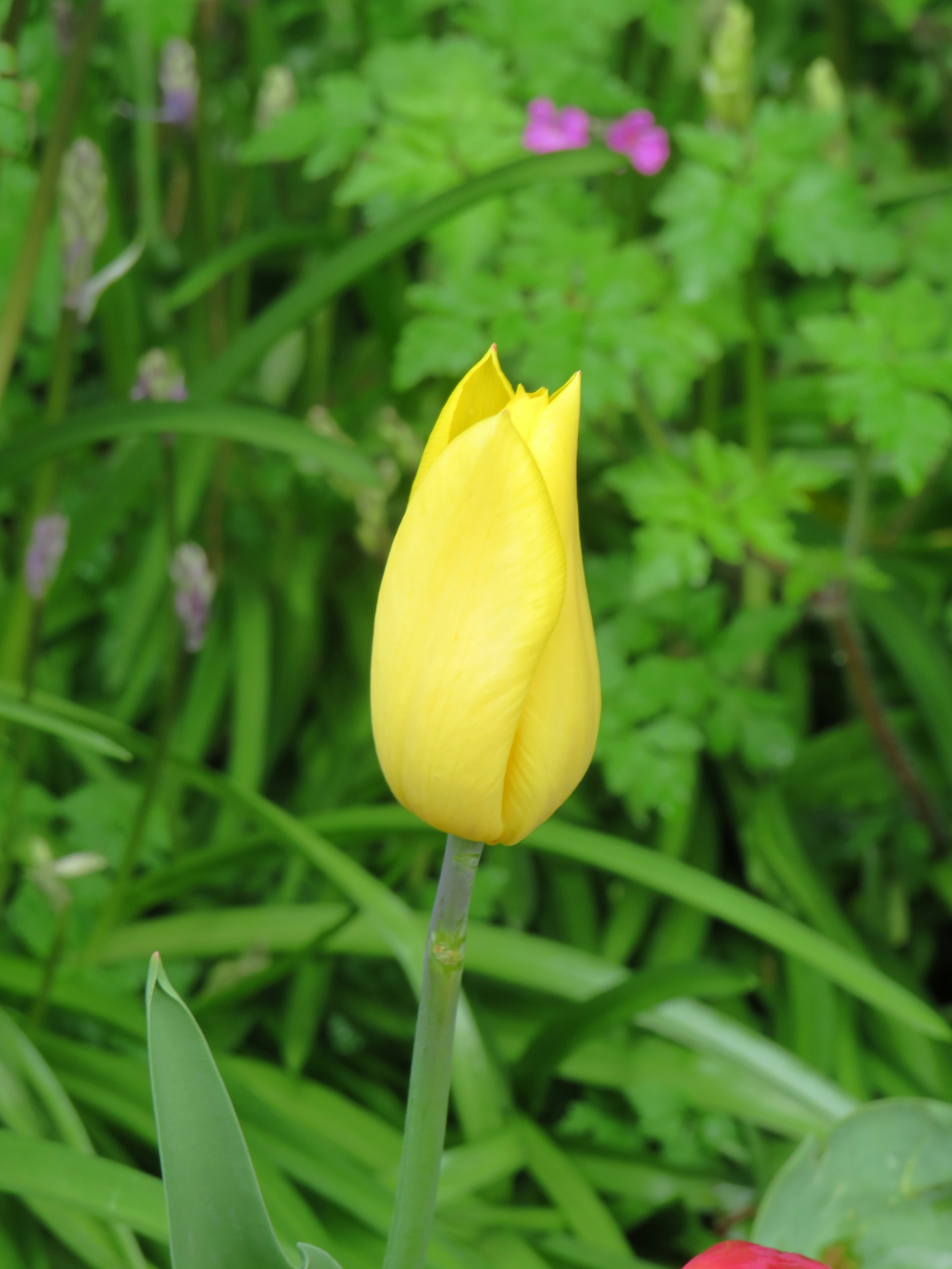 Photo by albertstoynov