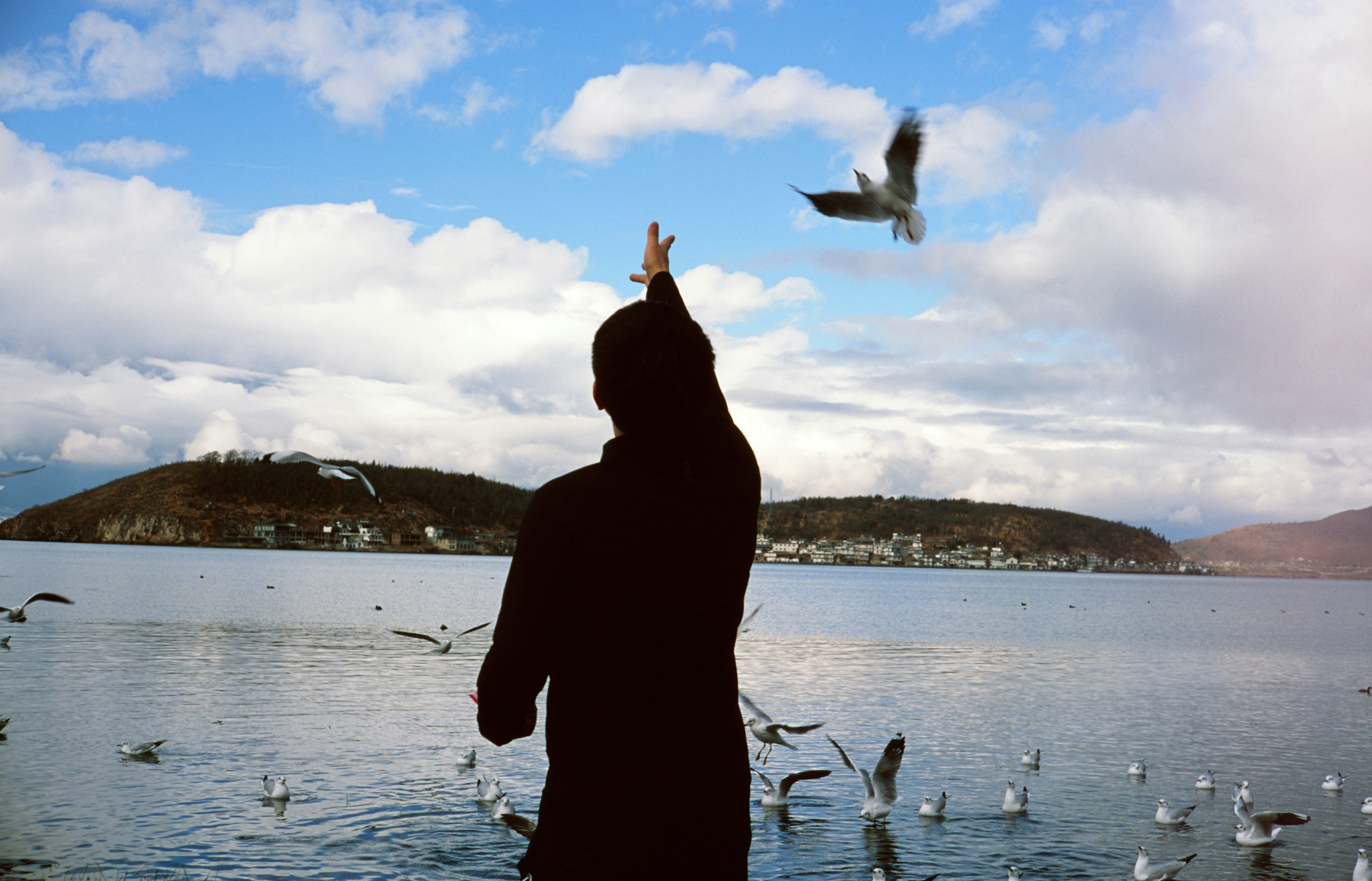 a person standing in front of a body of water surrounded by birds