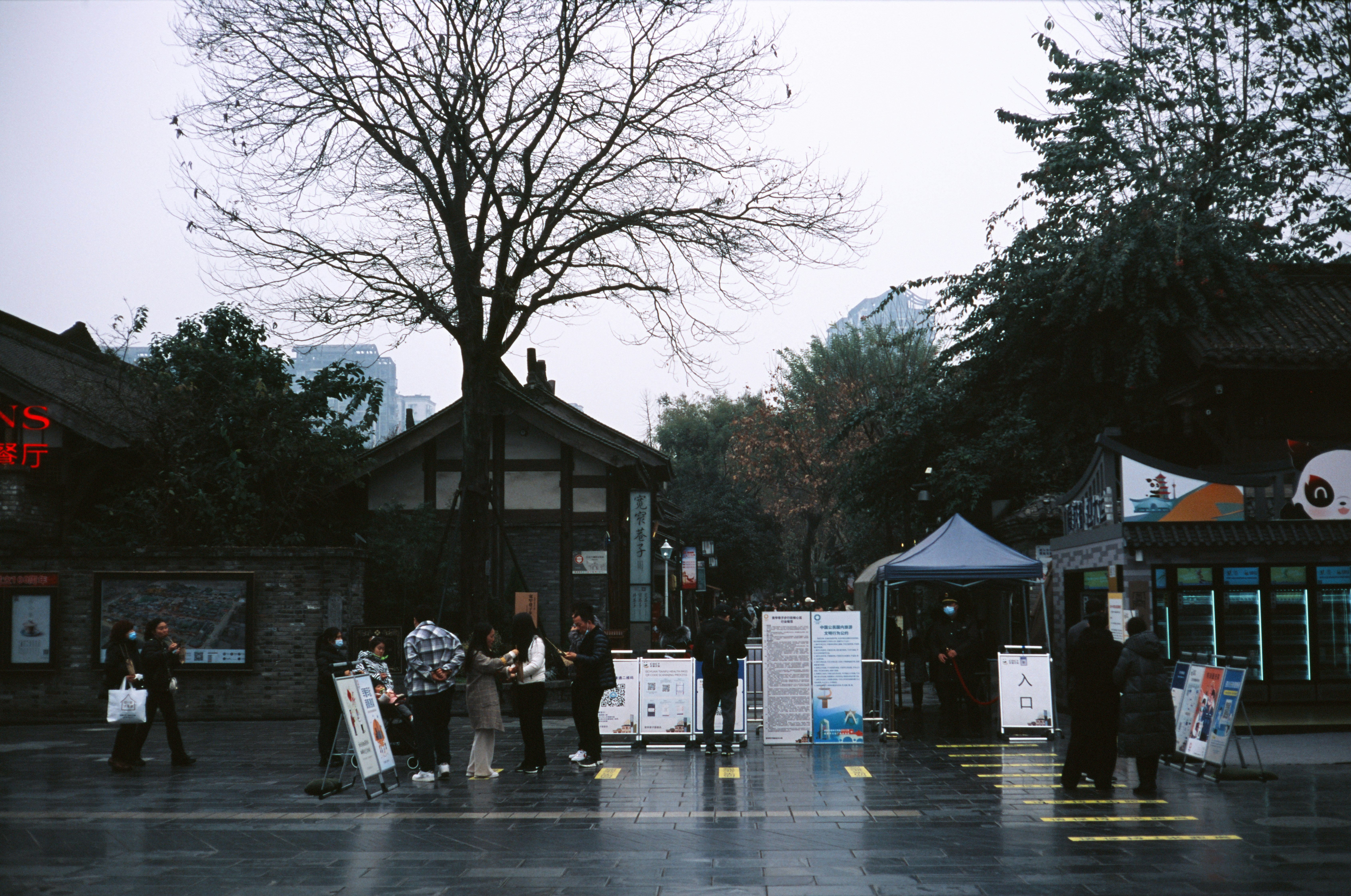 서울숲 재즈페스티벌 비 관련 이미지2