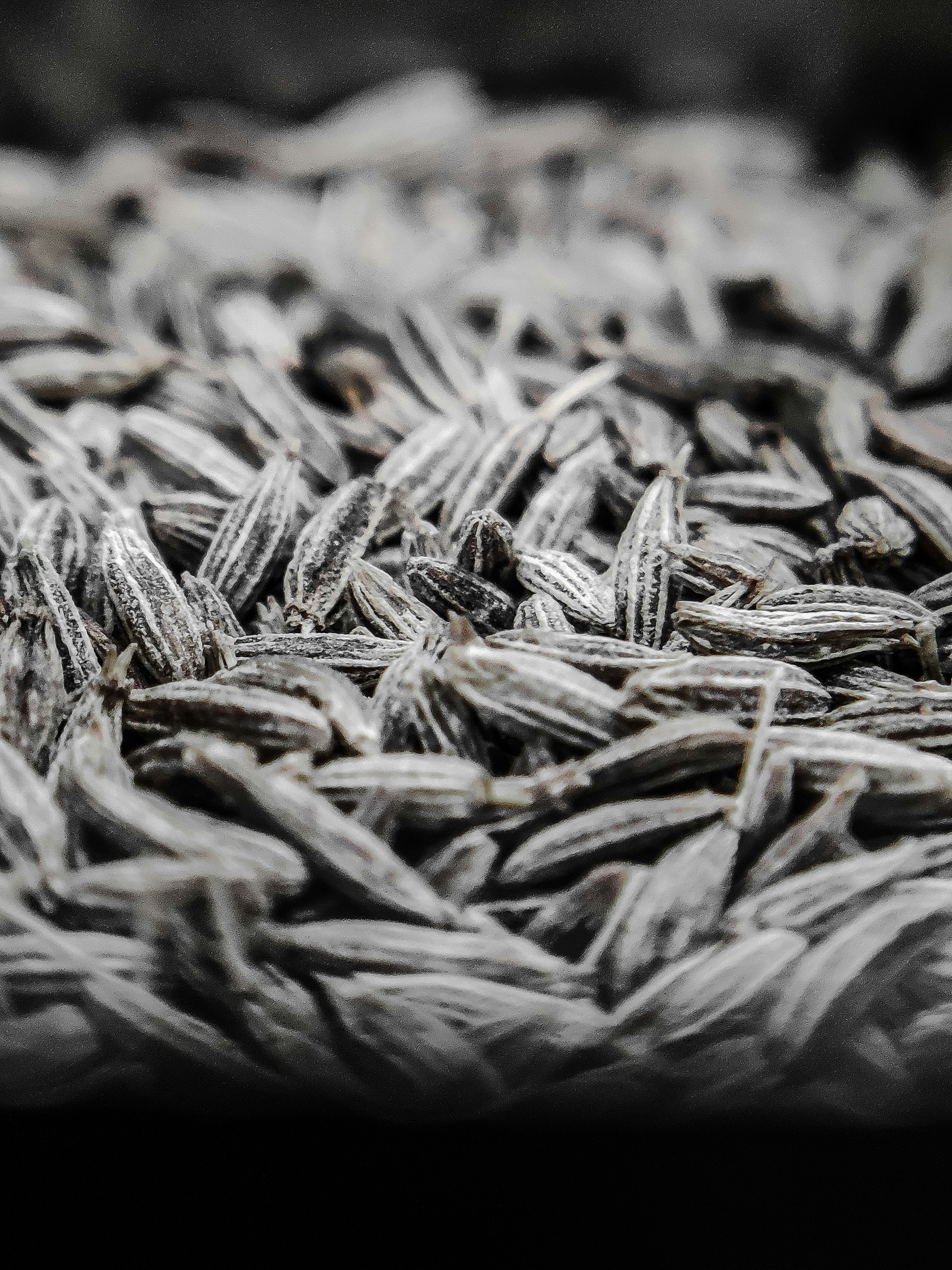 Photo by medicoinfocus