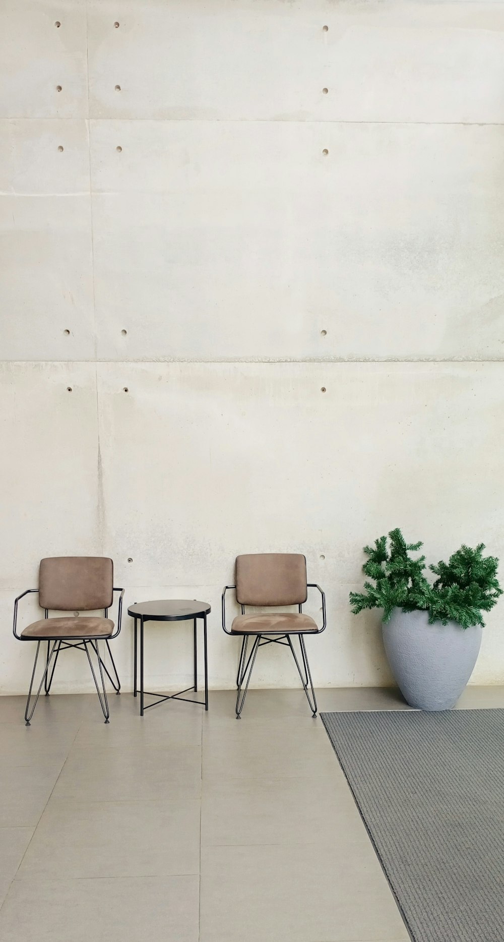 a couple of chairs sitting next to a plant