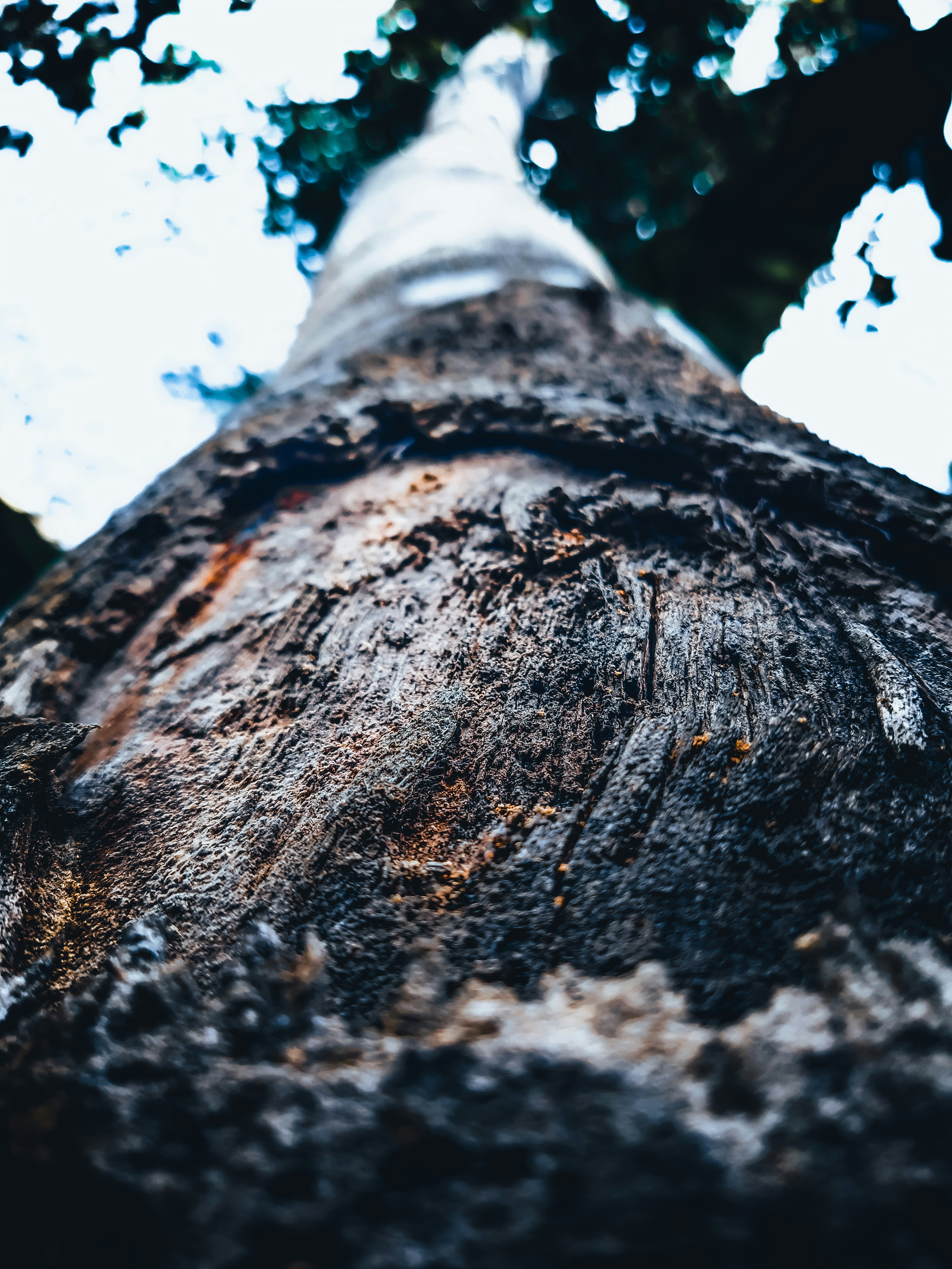 Photo by thisissamayah