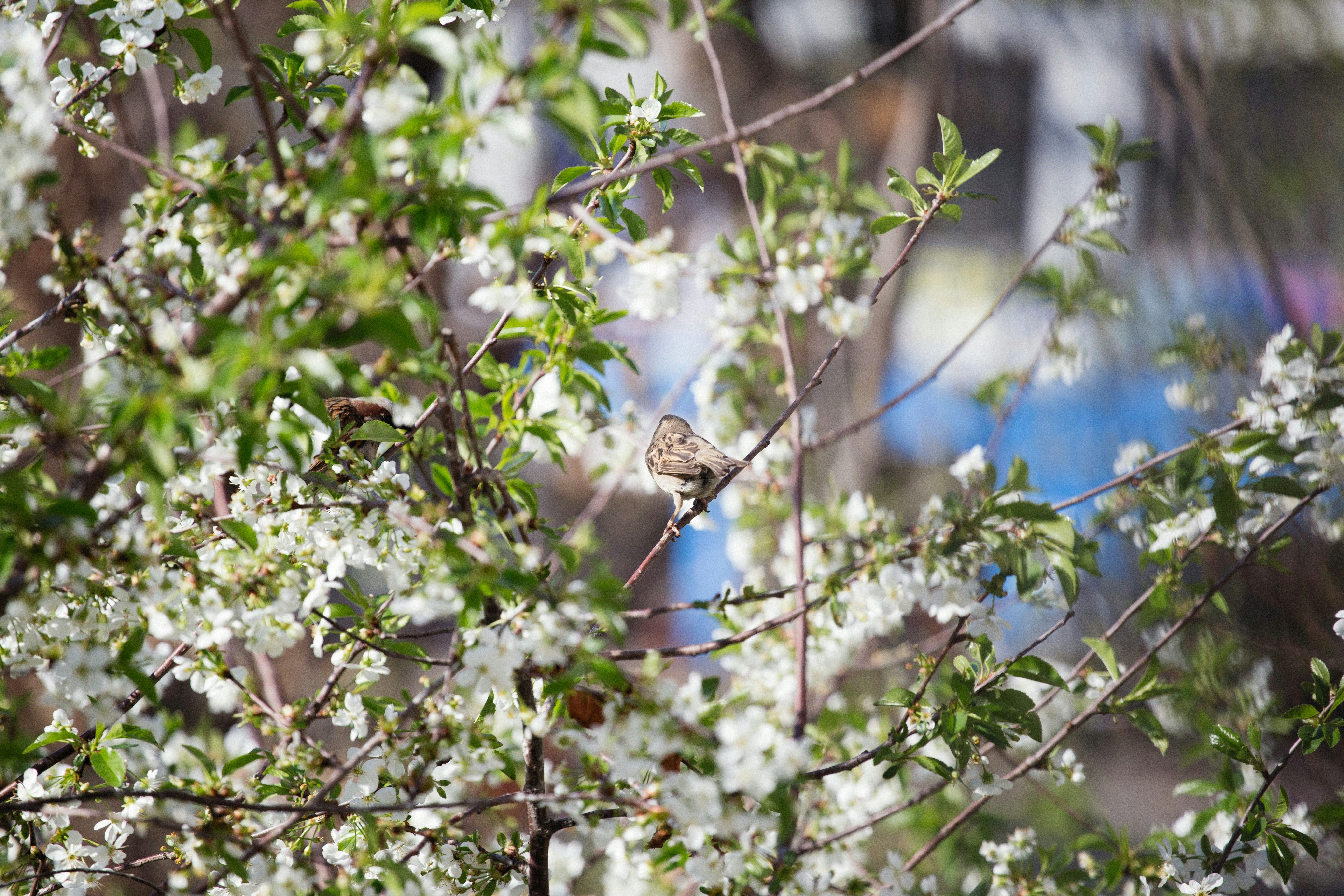 Photo by alexeydemidov