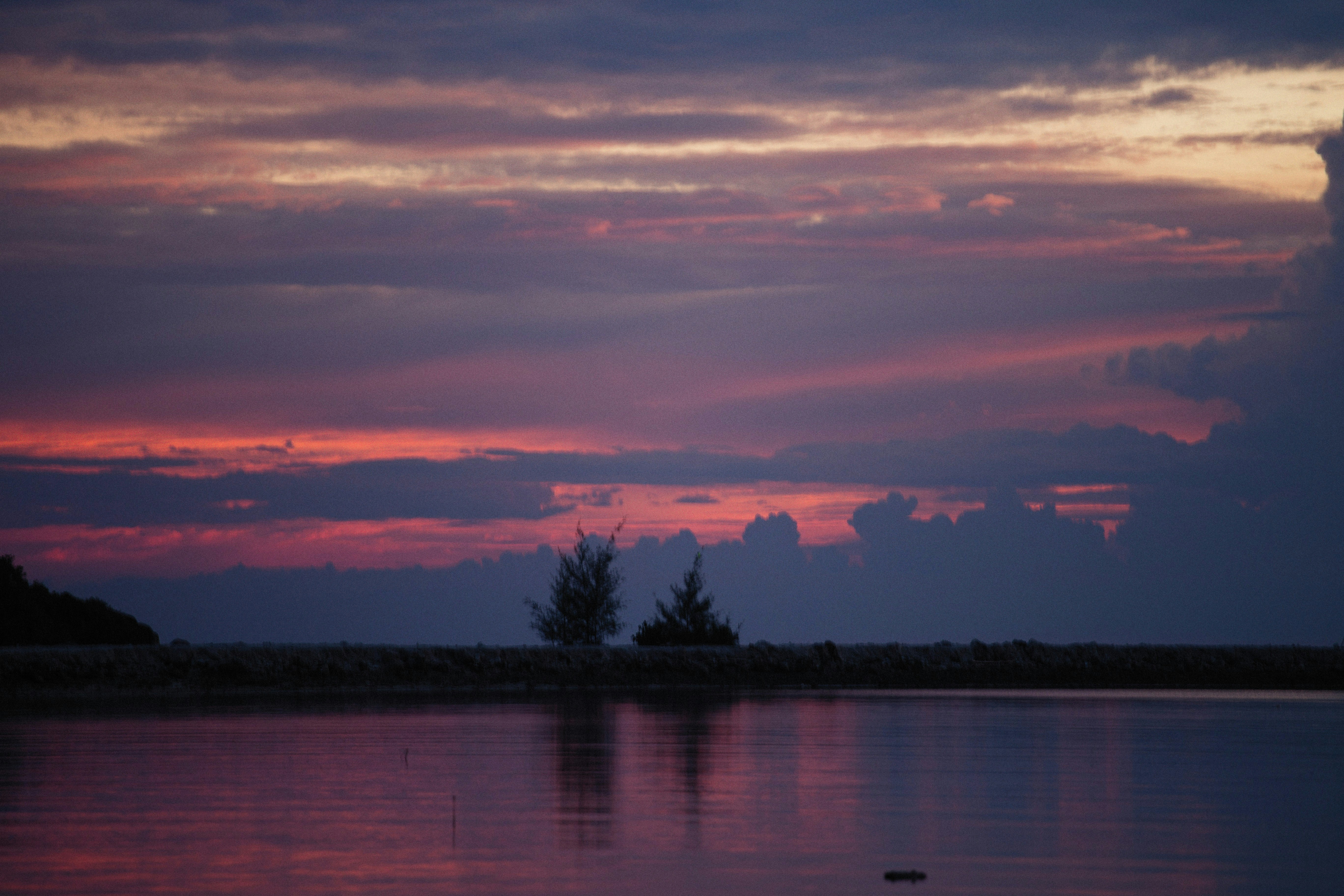 Photo by alexeydemidov