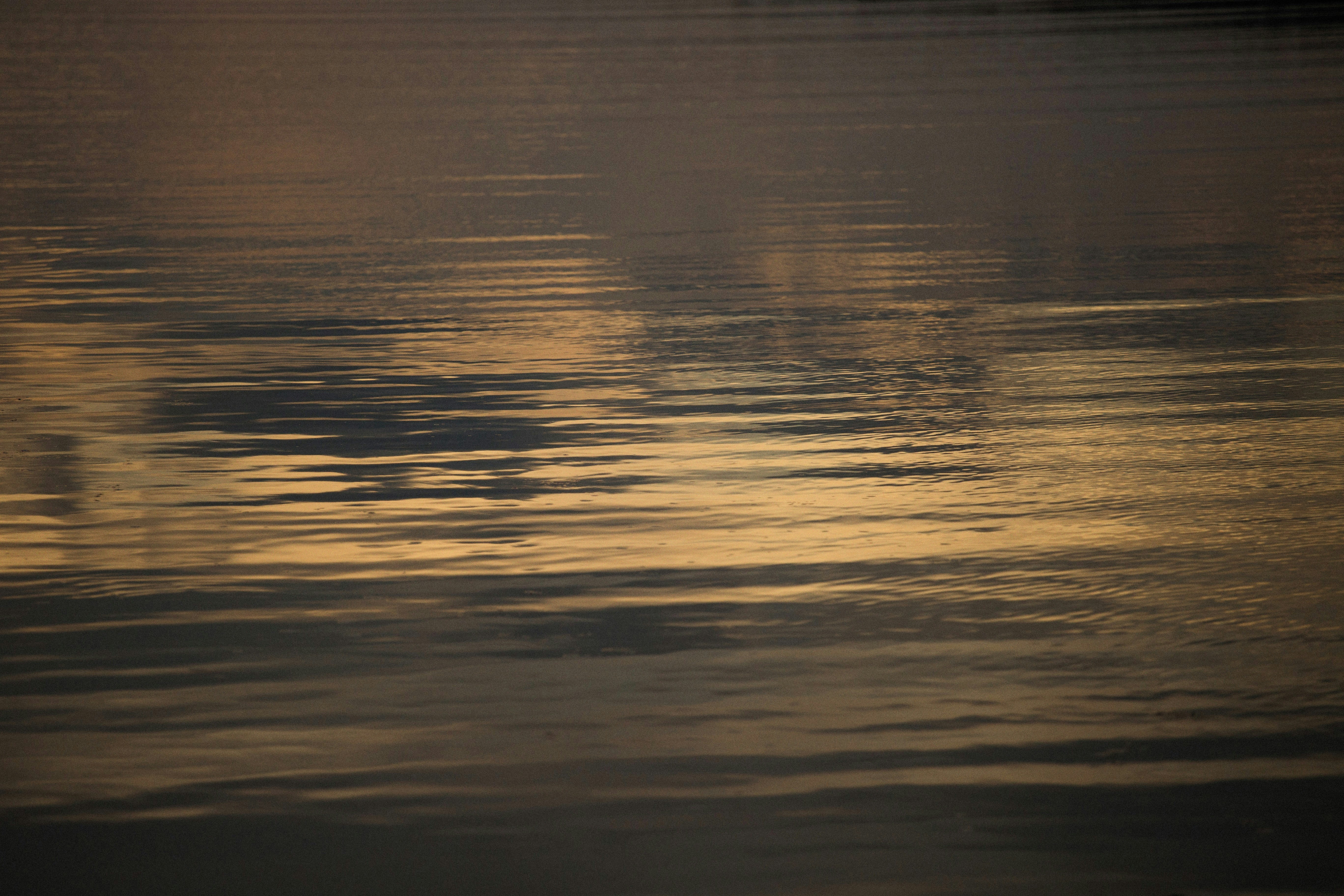 Photo by alexeydemidov