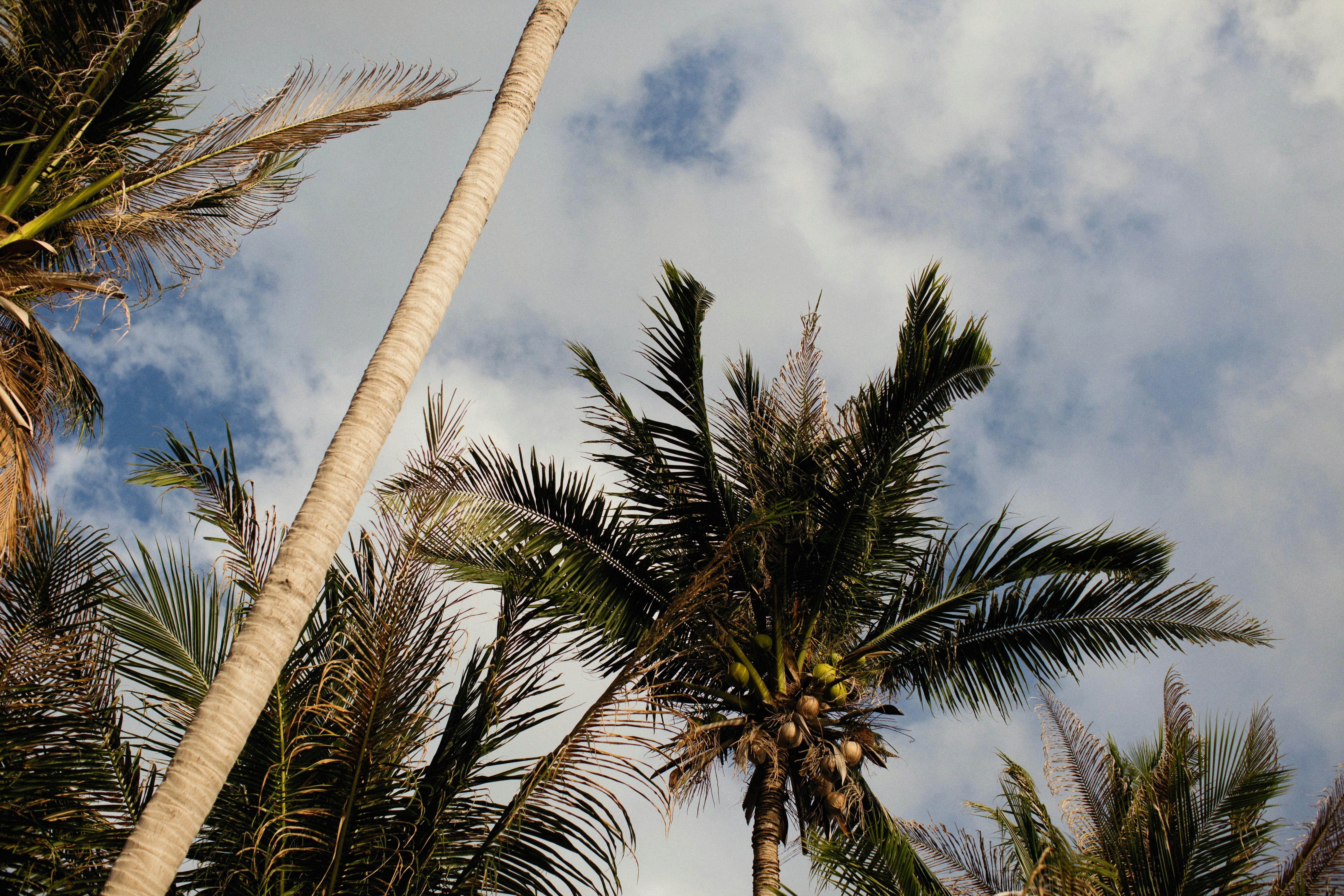 Photo by alexeydemidov