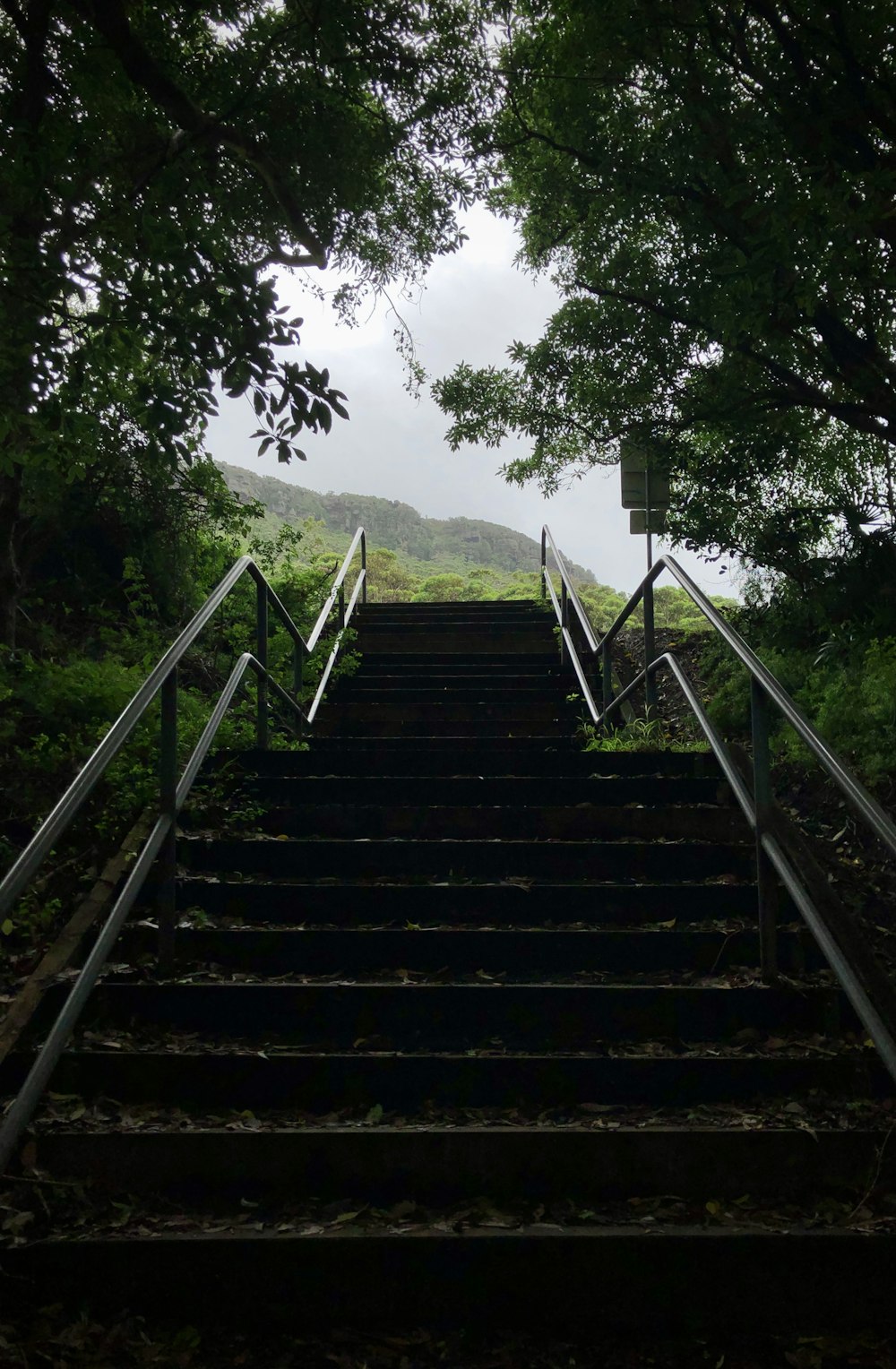 um conjunto de escadas que levam até o topo de uma colina