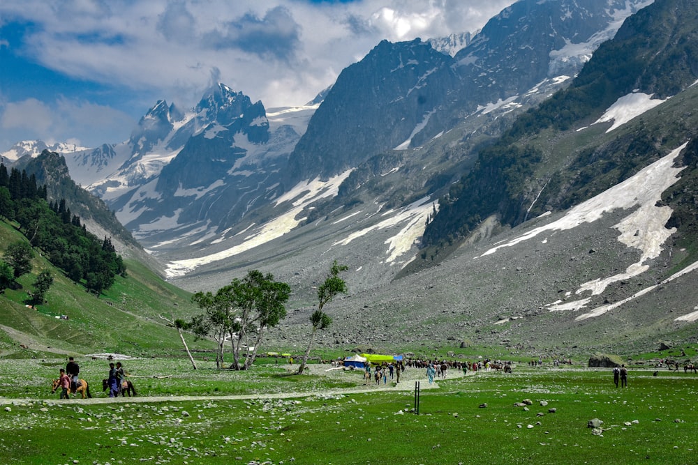 a group of people riding horses on a lush green hillside