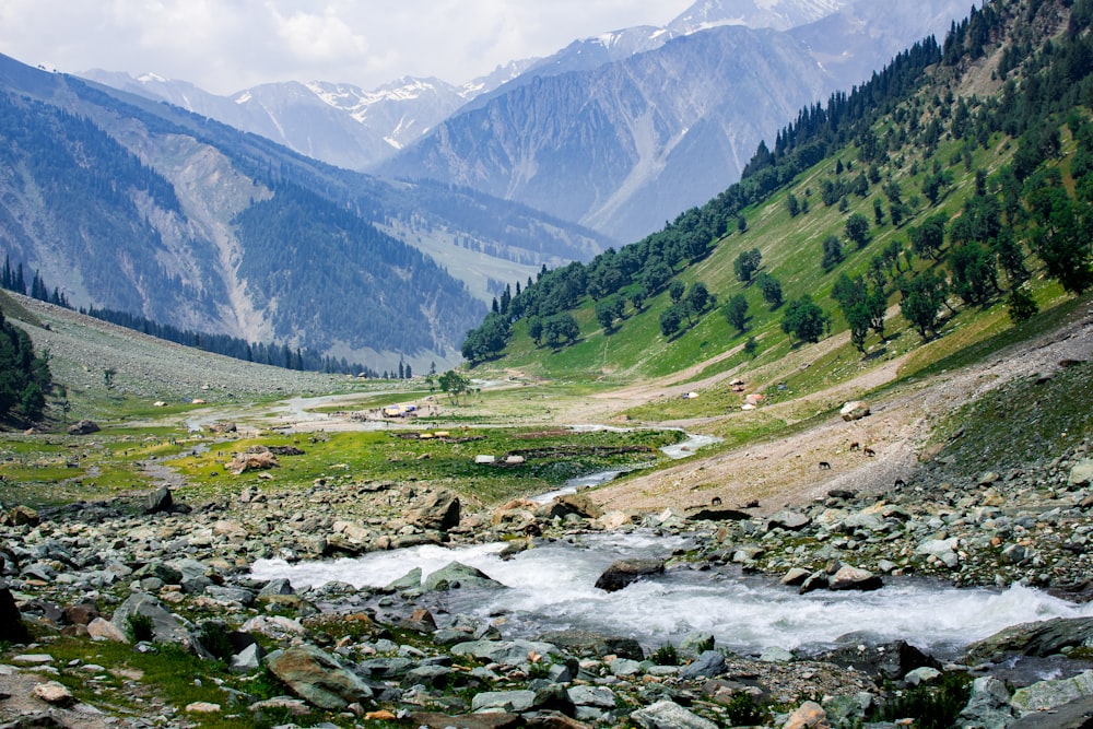 a mountain valley with a stream running through it